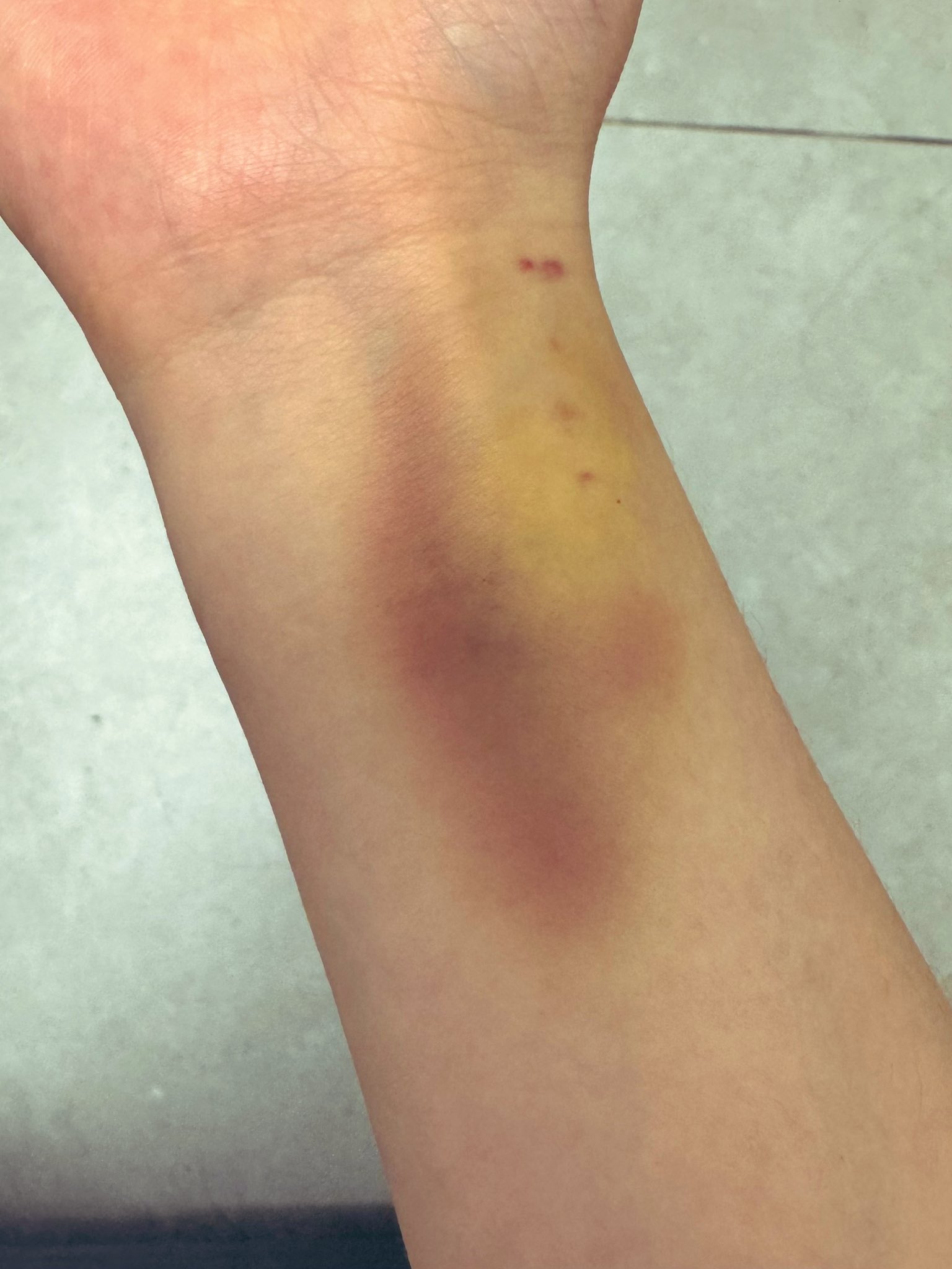 Archived media from tweet captured on 2024-07-23 11:23:04 UTC