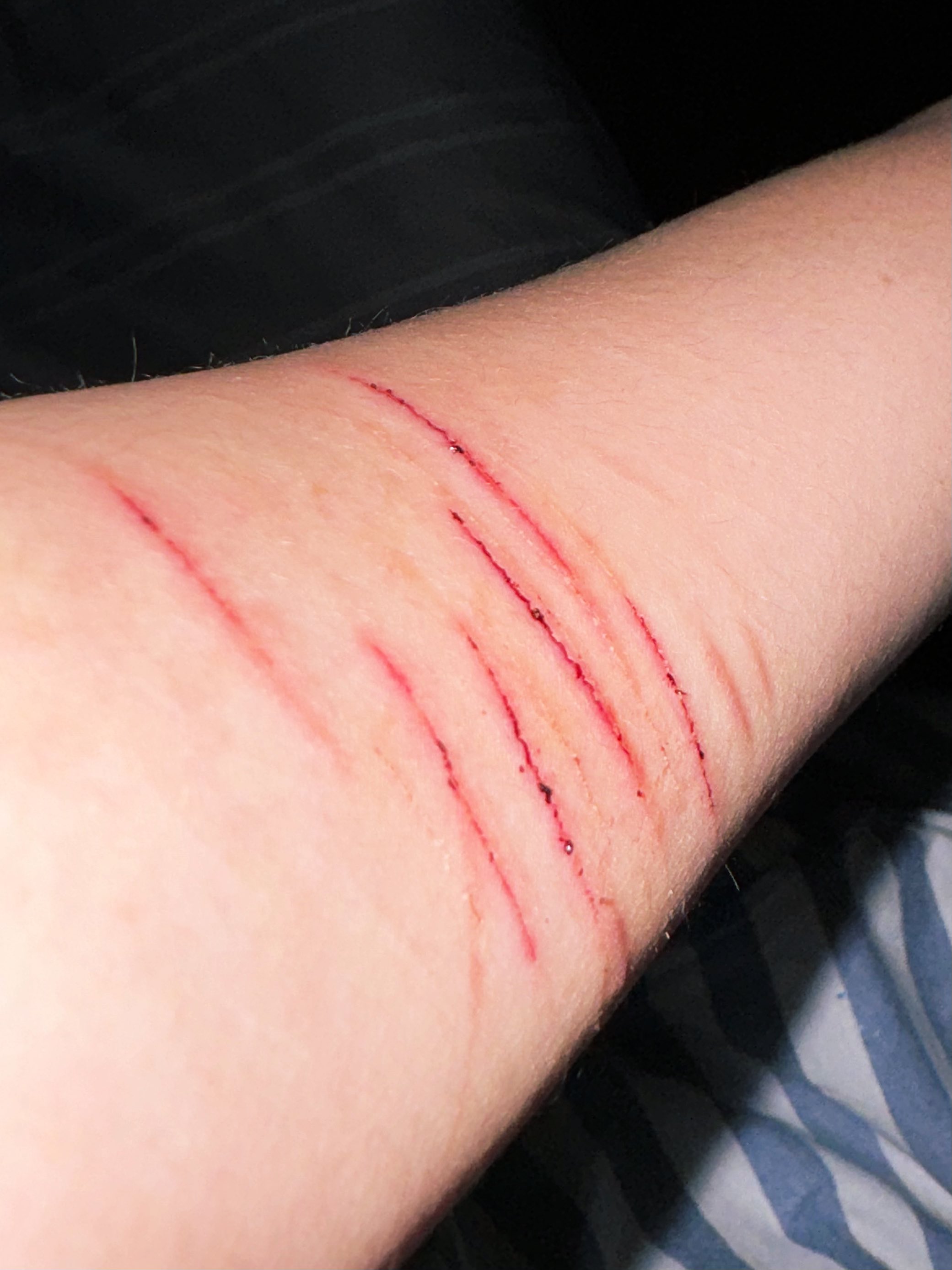 Archived media from tweet captured on 2024-10-05 04:42:28 UTC