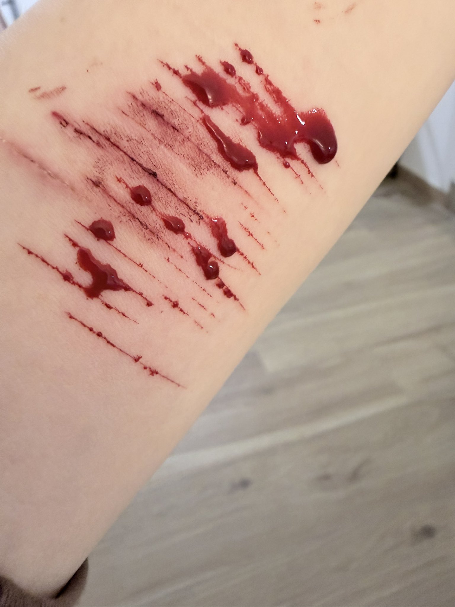 Archived media from tweet captured on 2025-11-06 18:17:59 UTC