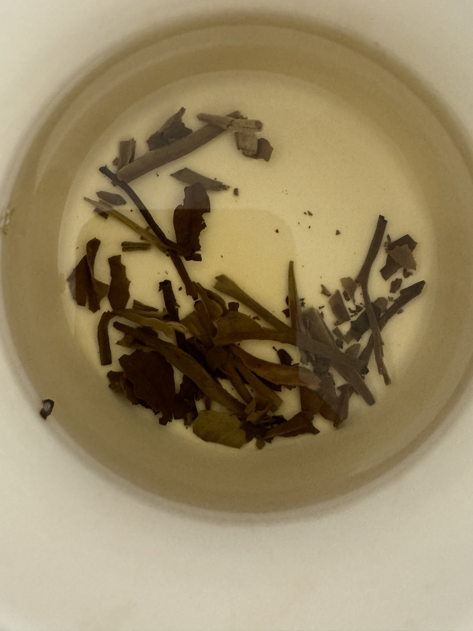 Archived media from tweet captured on 2024-07-27 19:27:18 UTC