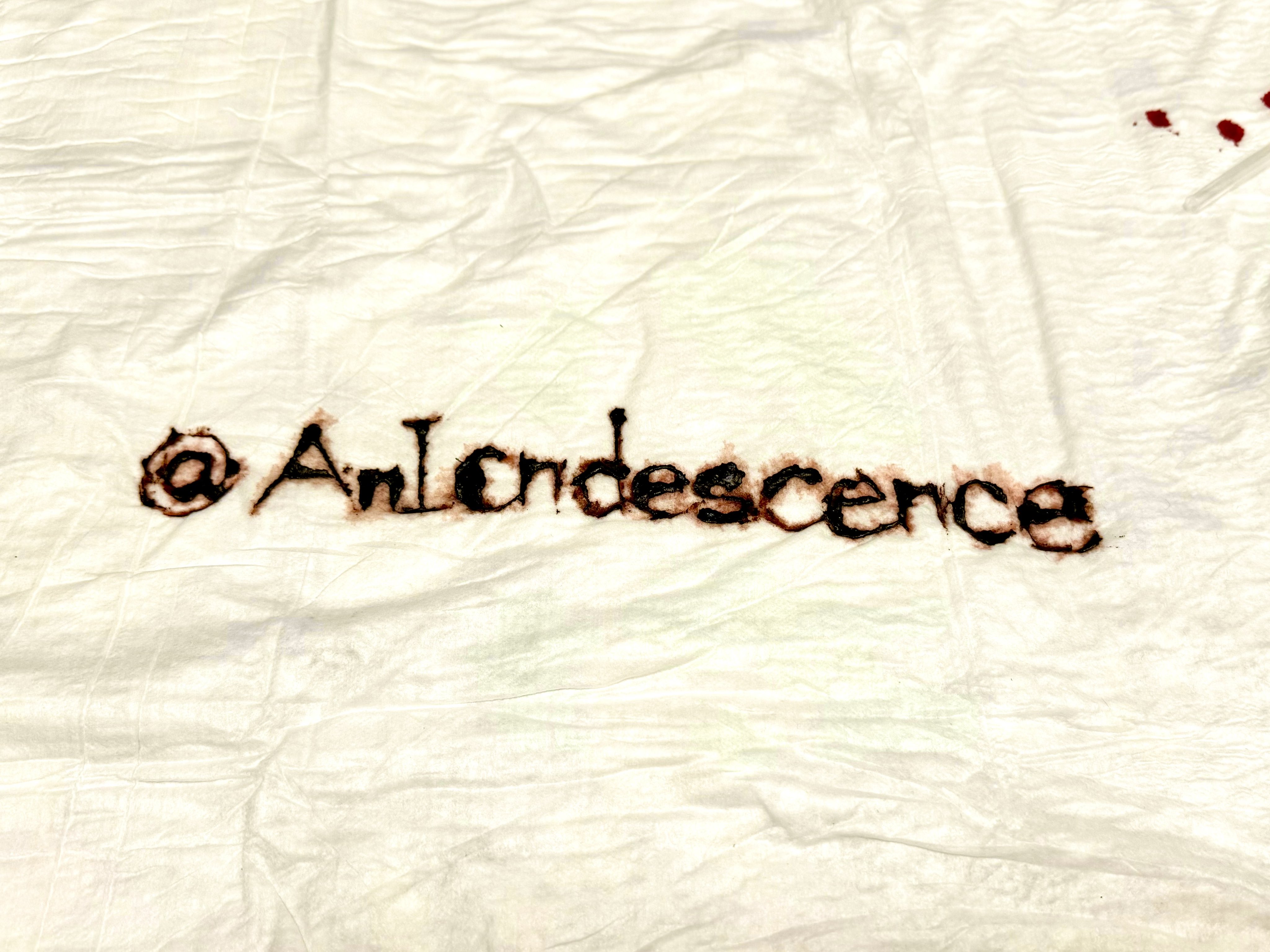 Archived media from tweet captured on 2024-08-02 23:01:34 UTC