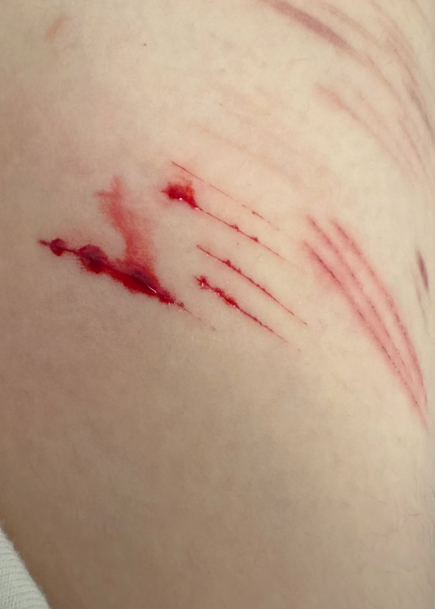 Archived media from tweet captured on 2024-07-20 15:16:38 UTC