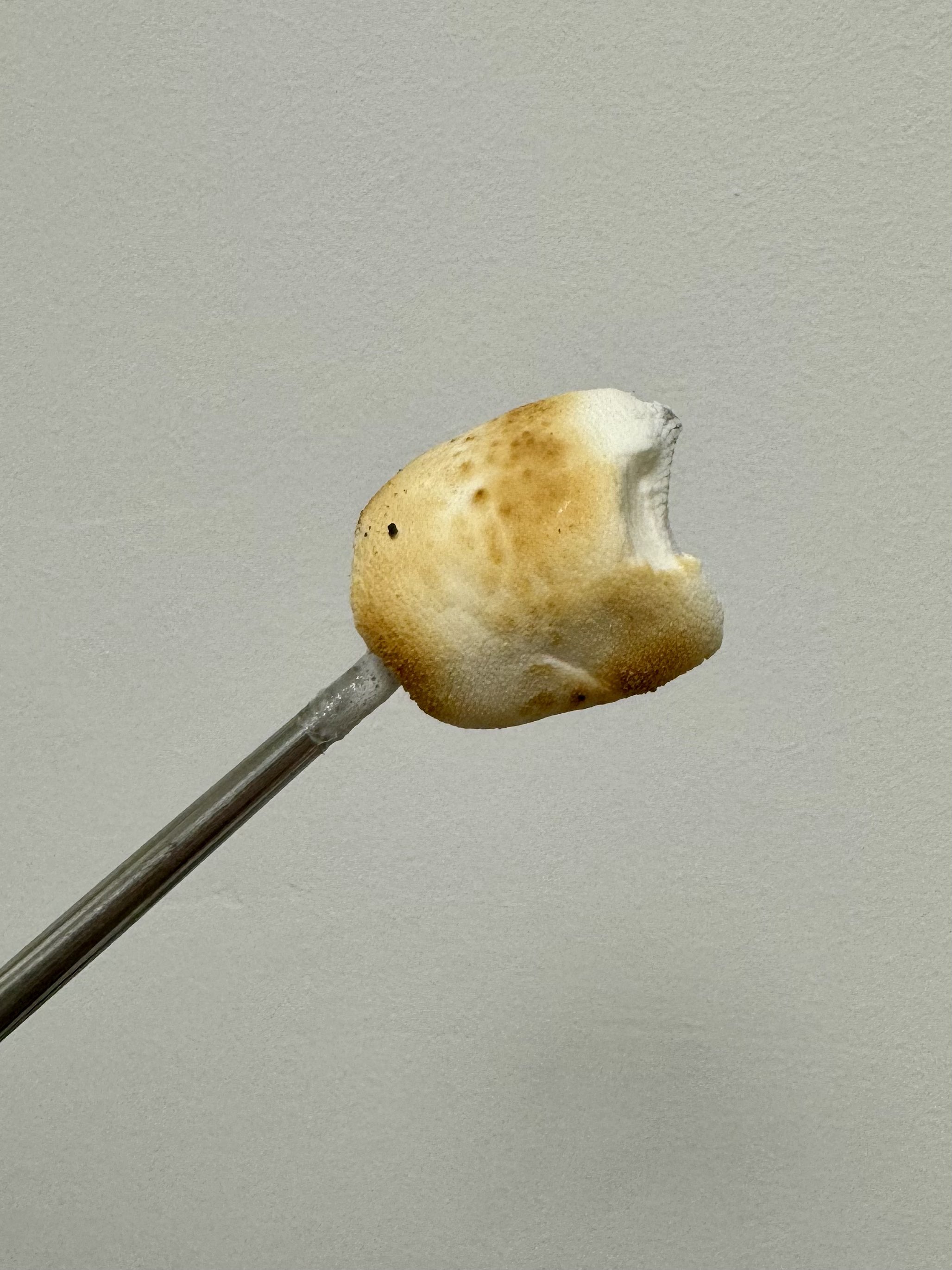 Archived media from tweet captured on 2024-08-18 10:08:03 UTC