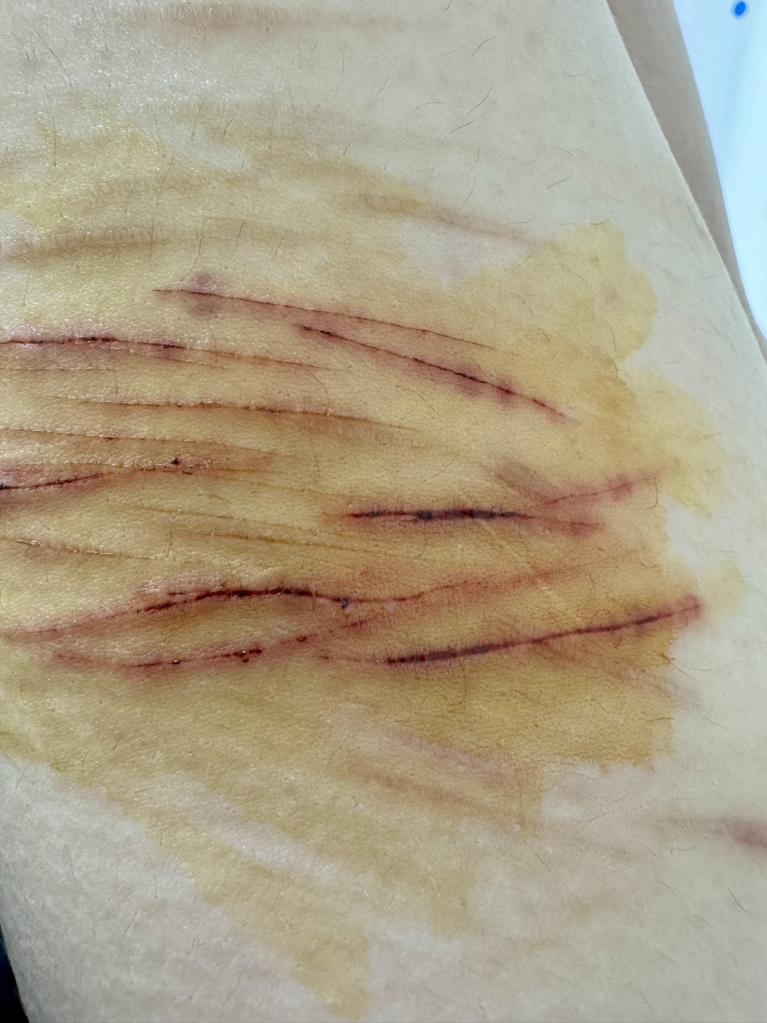 Archived media from tweet captured on 2024-10-07 07:32:48 UTC