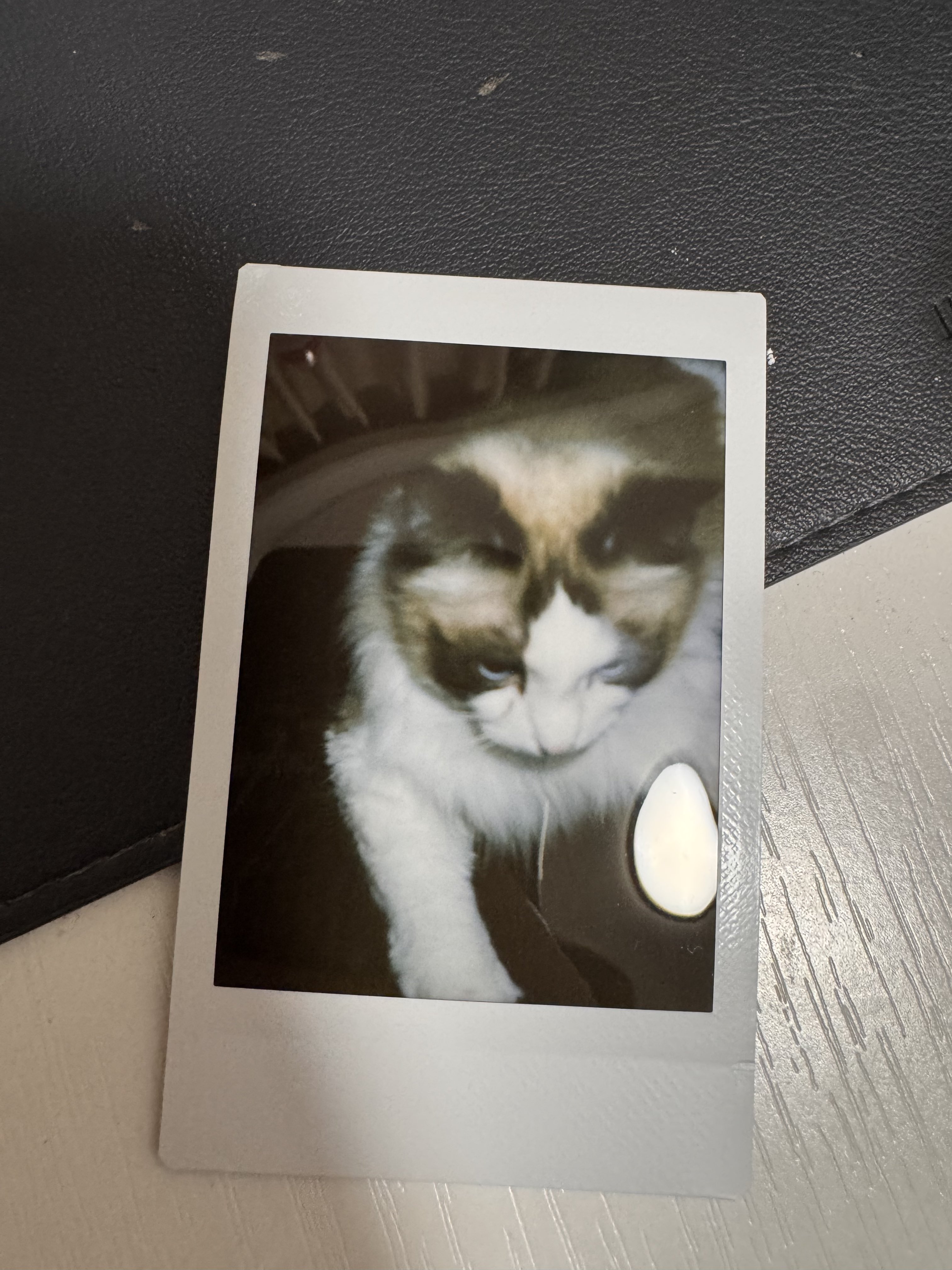 Archived media from tweet captured on 2025-09-15 16:55:40 UTC