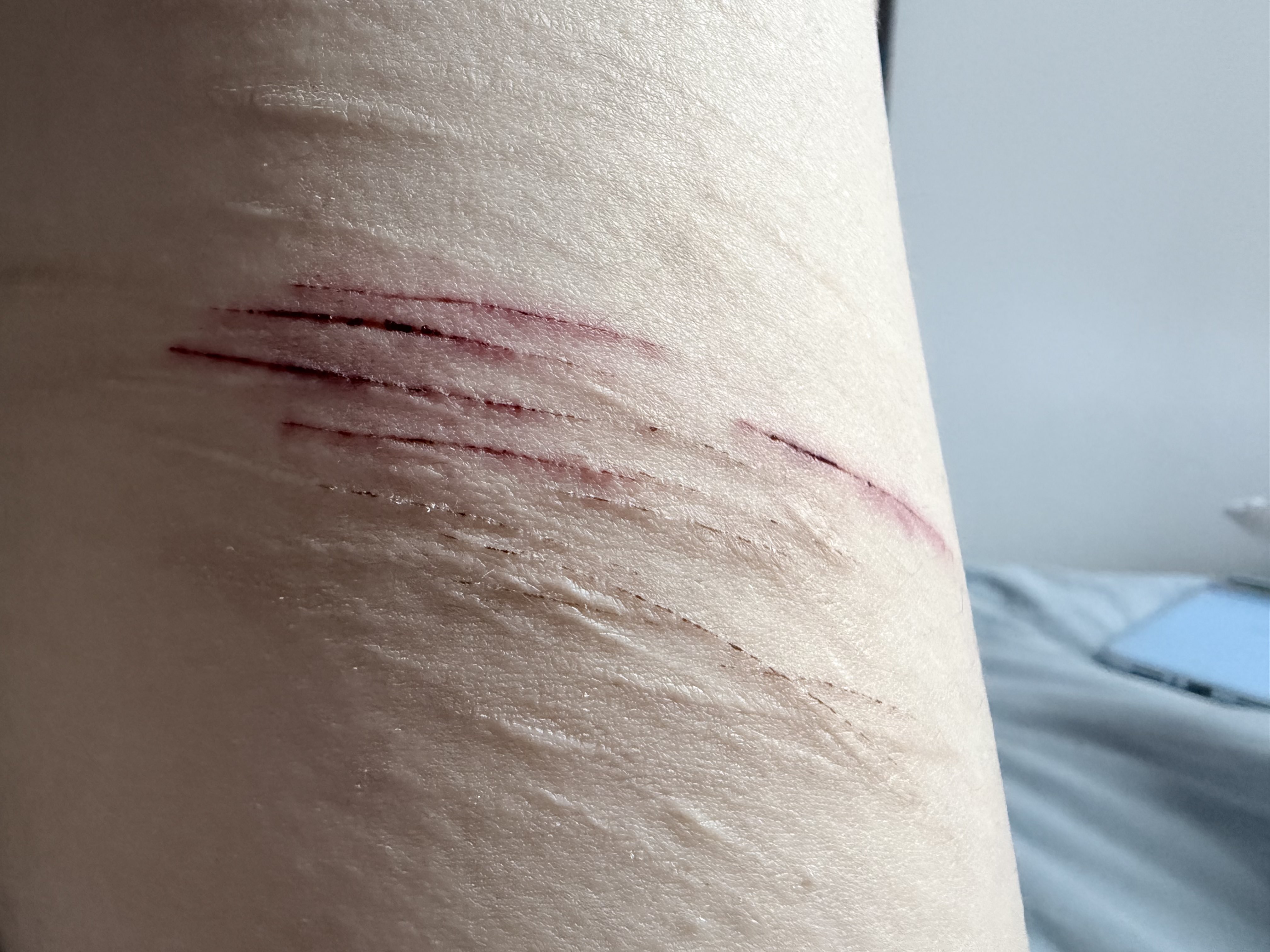 Archived media from tweet captured on 2026-04-05 09:03:43 UTC