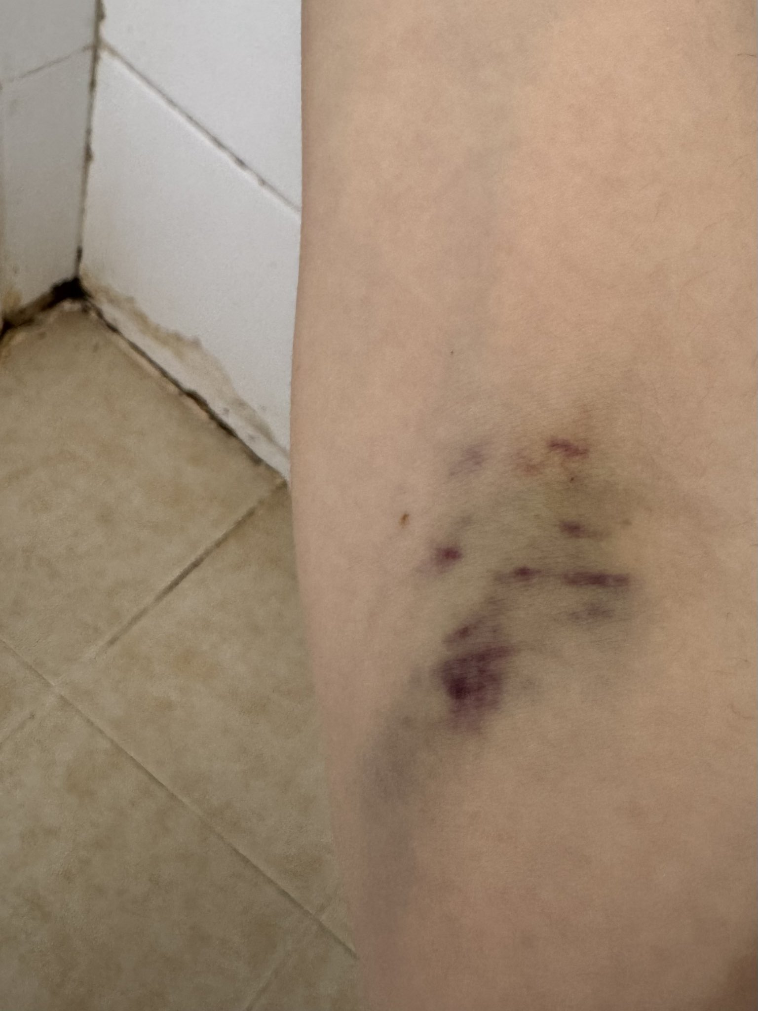 Archived media from tweet captured on 2024-10-20 01:40:54 UTC