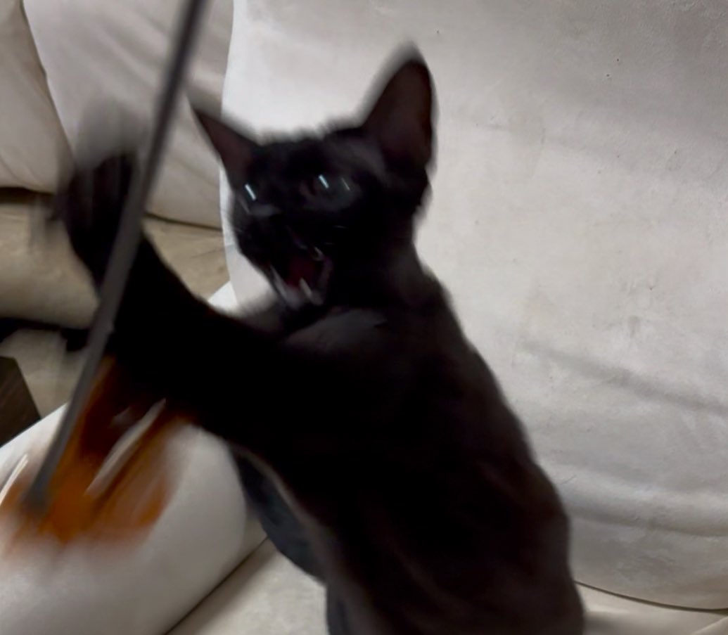 Archived media from tweet captured on 2025-08-15 14:30:03 UTC