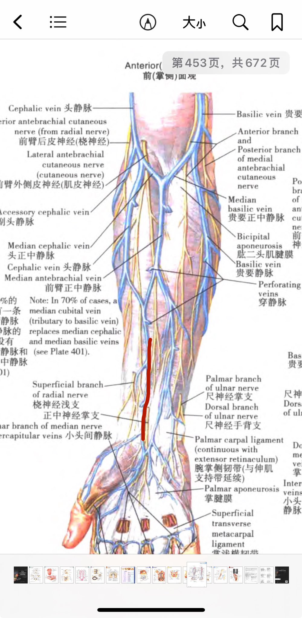 Archived media from tweet captured on 2024-07-18 16:24:29 UTC