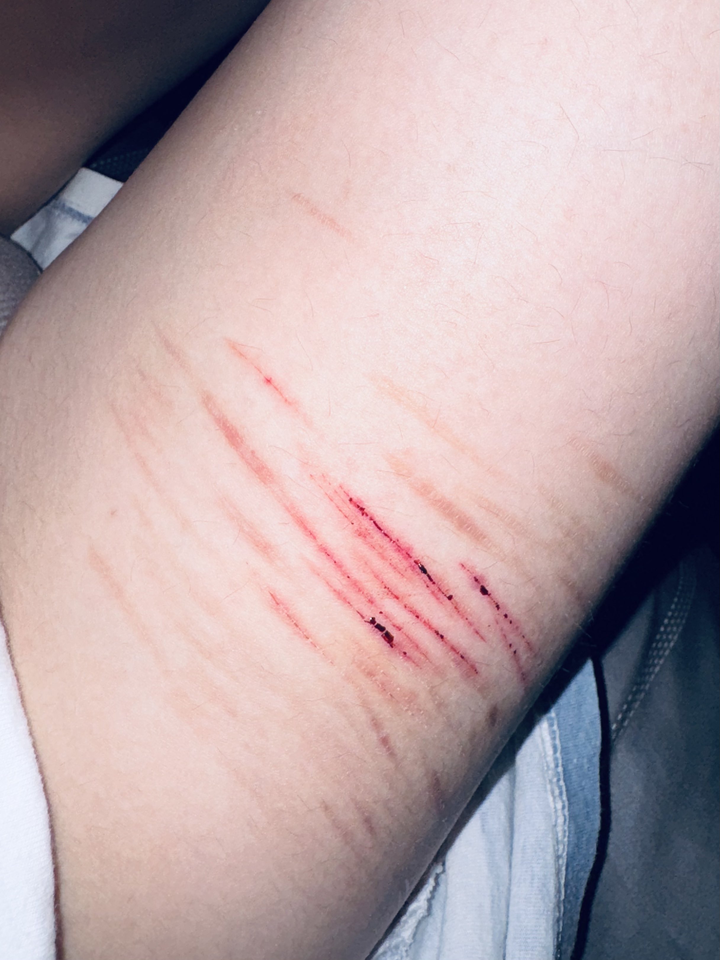 Archived media from tweet captured on 2024-10-05 04:42:28 UTC