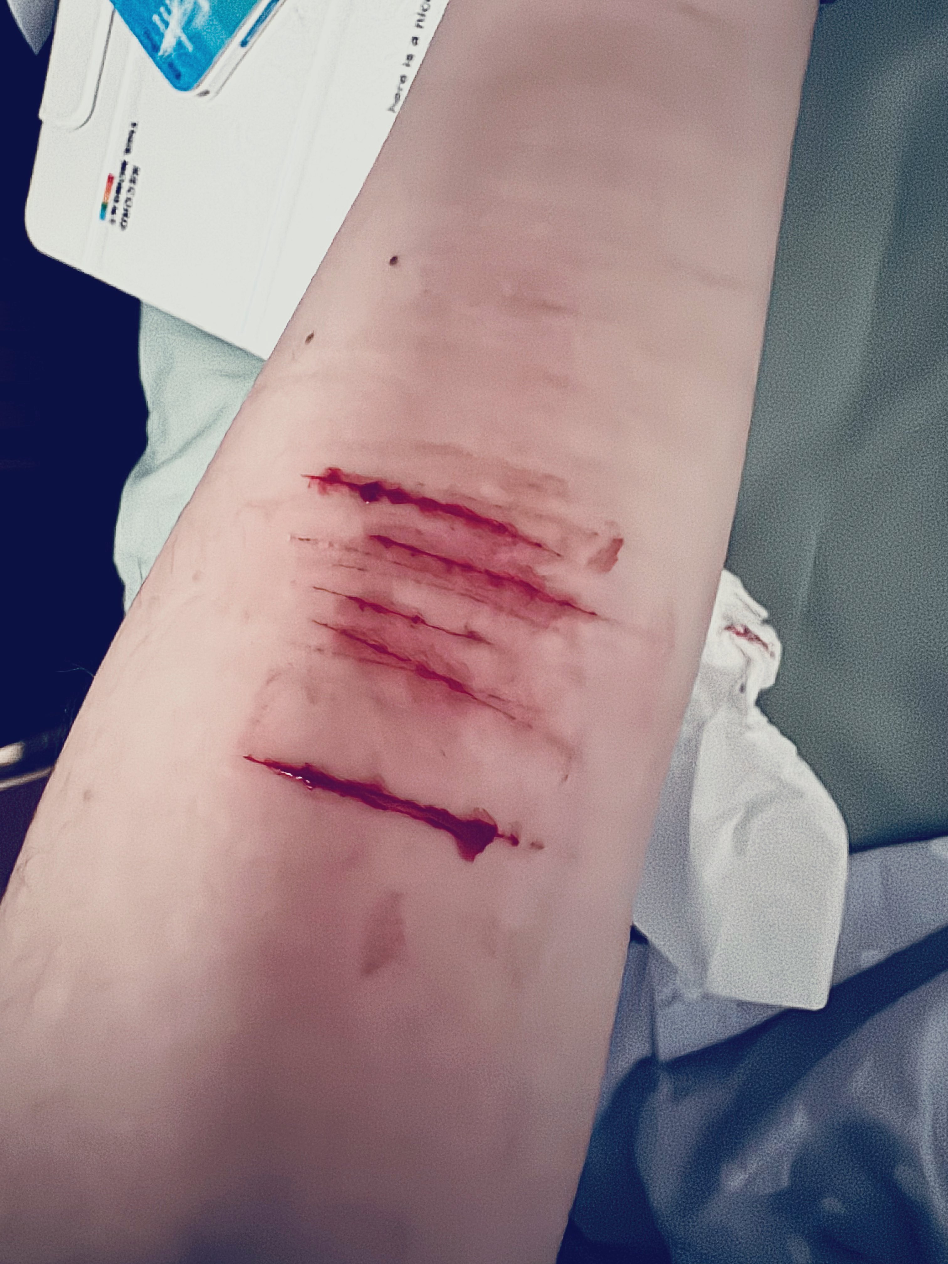 Archived media from tweet captured on 2025-01-10 08:48:33 UTC