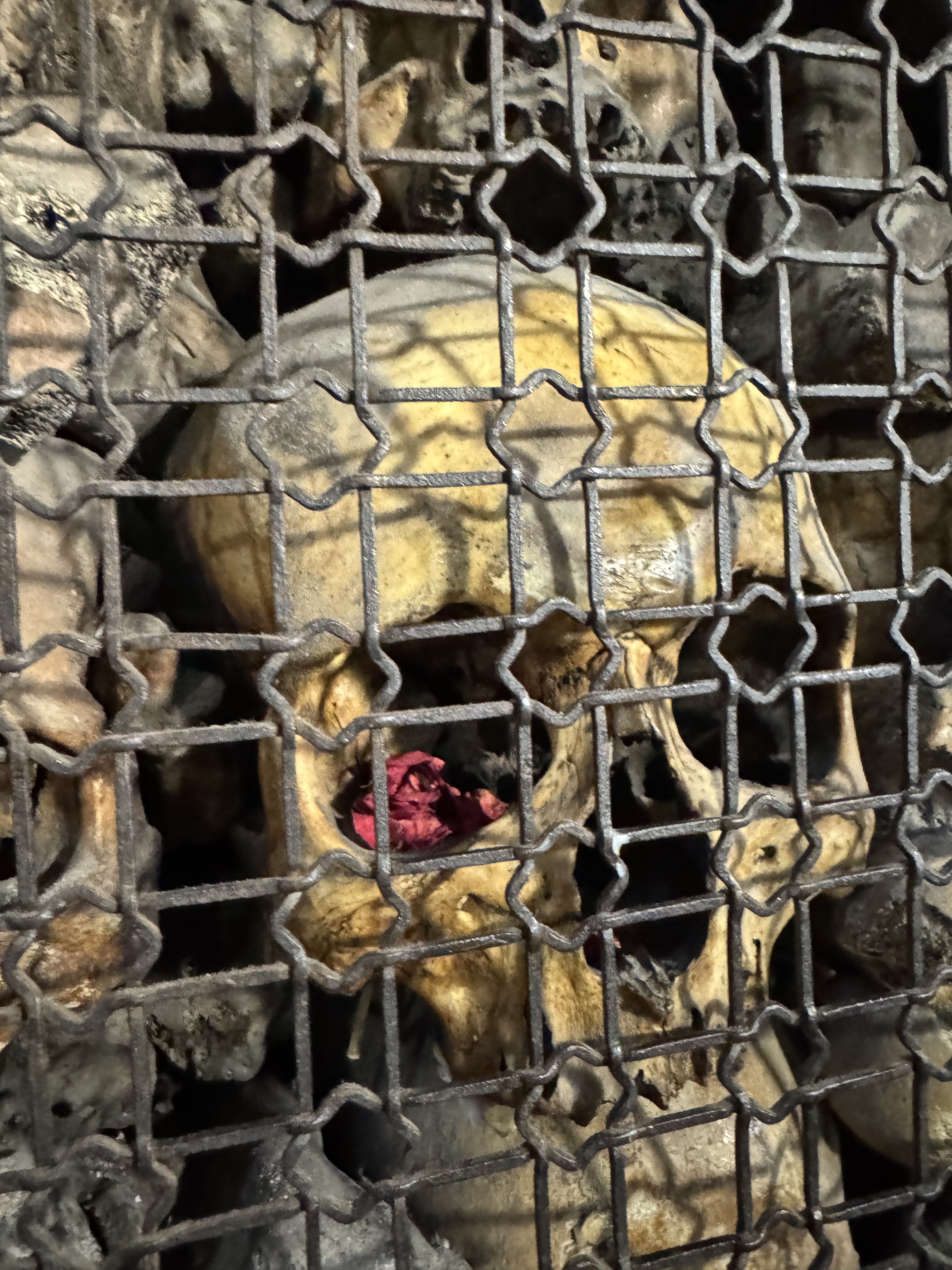 Archived media from tweet captured on 2024-11-06 22:56:31 UTC