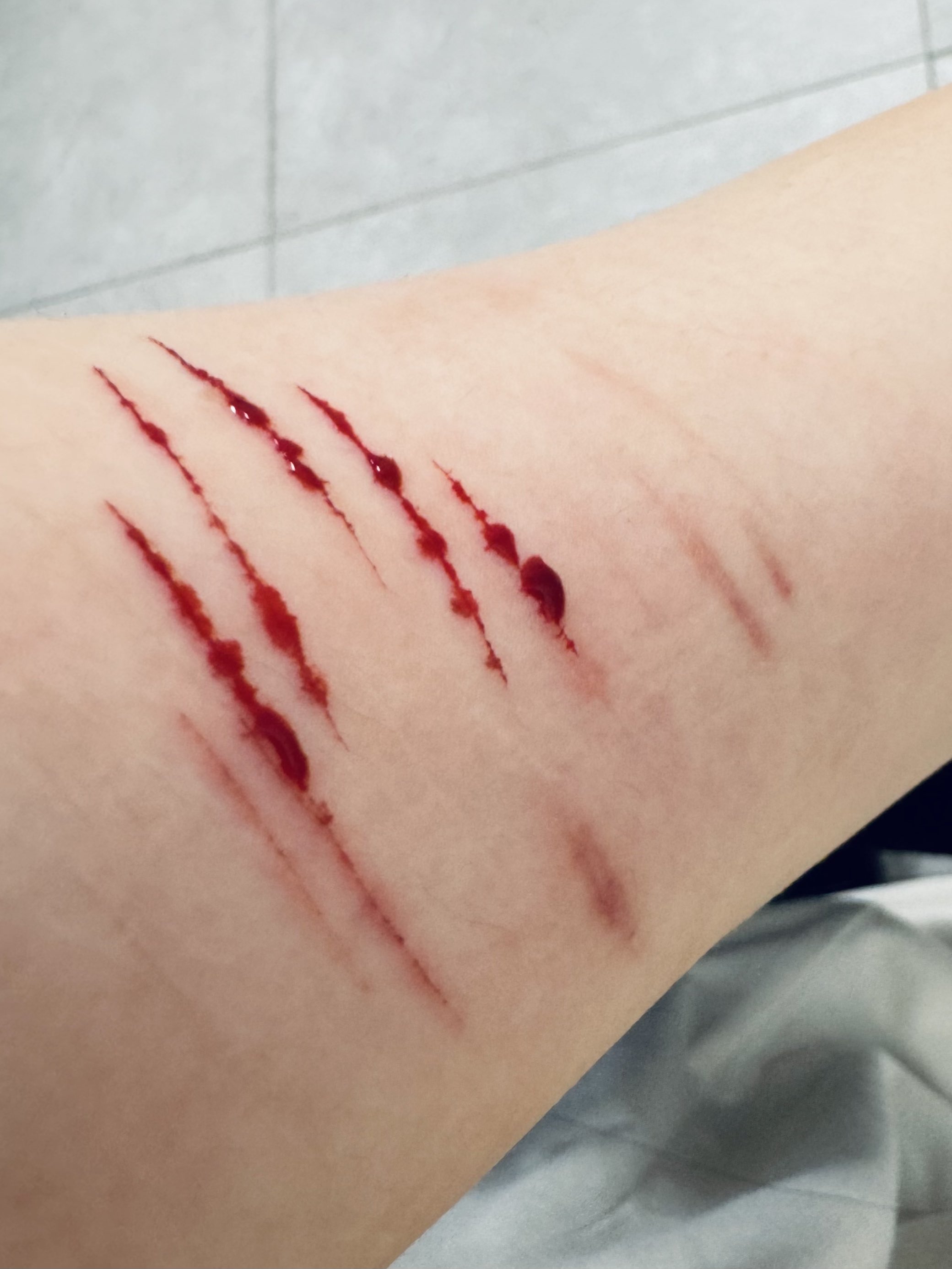 Archived media from tweet captured on 2024-08-23 10:36:11 UTC