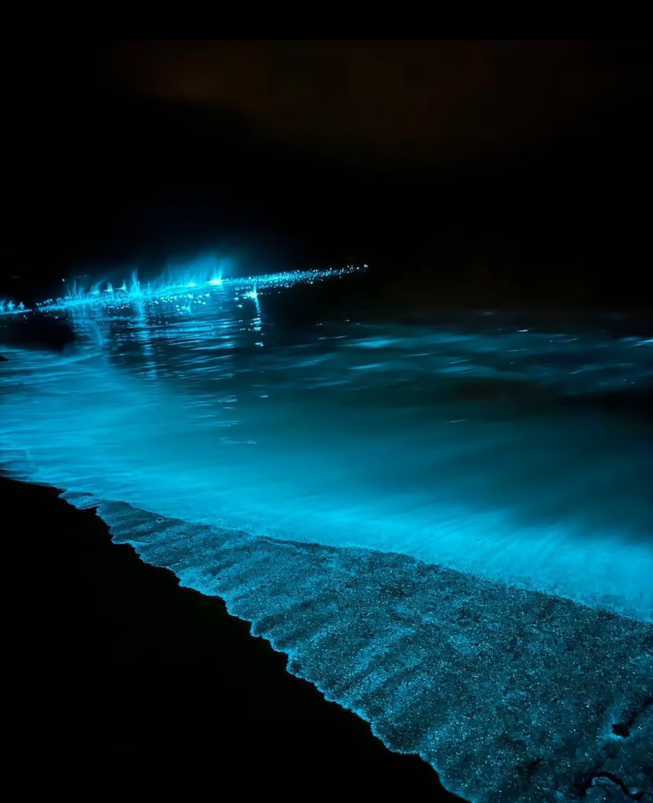 Archived media from tweet captured on 2025-07-17 05:52:44 UTC