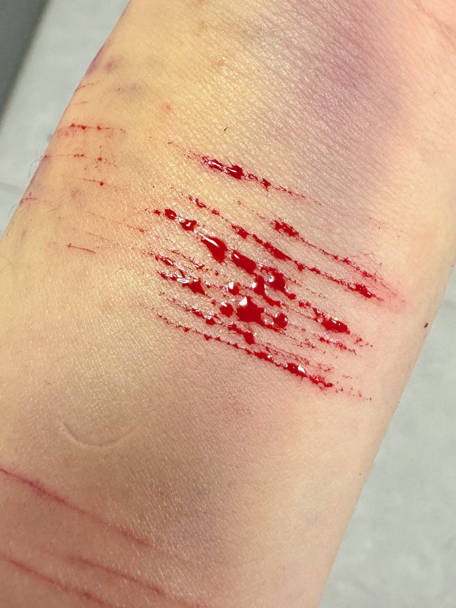 Archived media from tweet captured on 2024-07-24 00:19:59 UTC