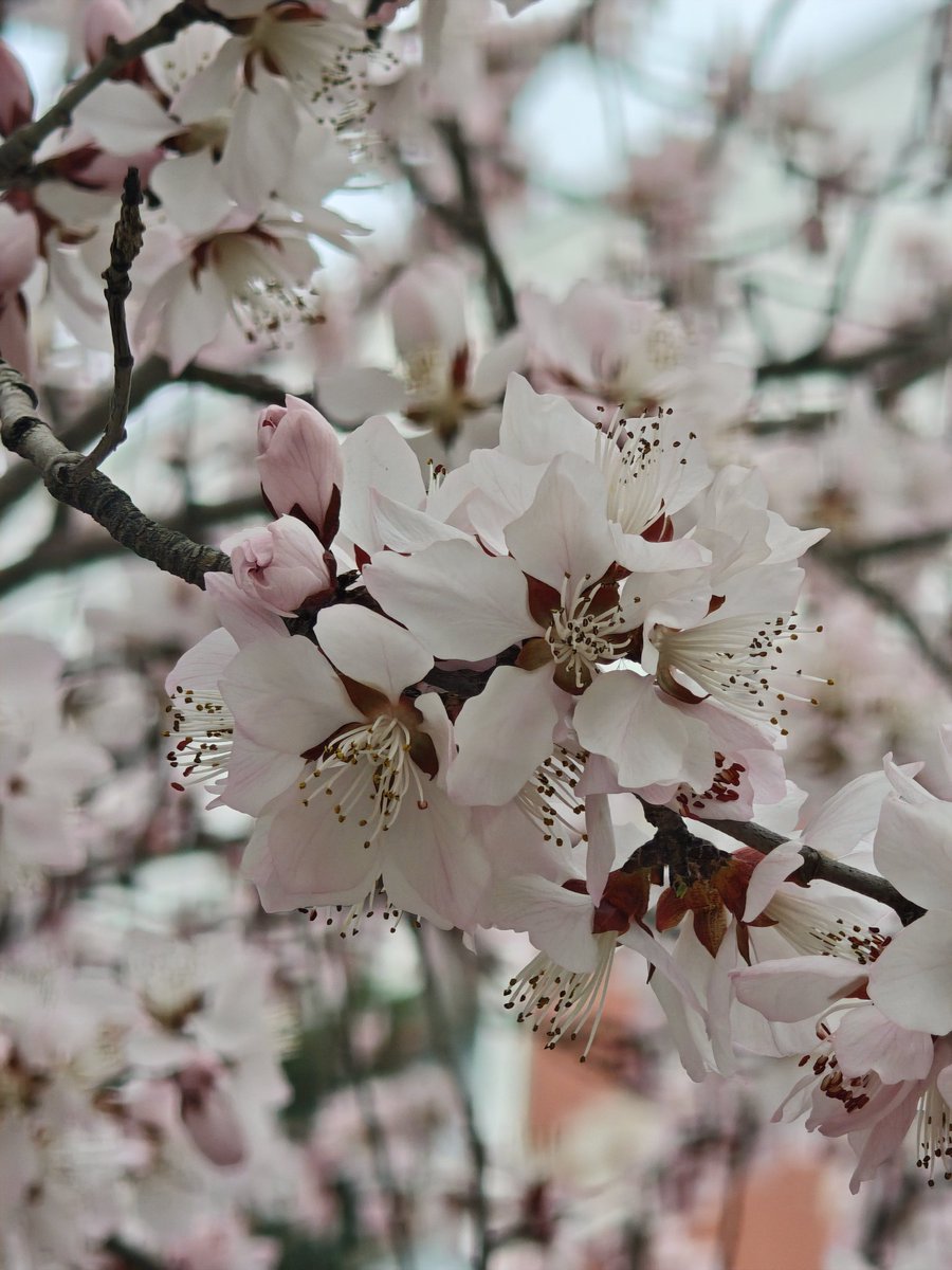 Archived media from tweet captured on 2026-03-15 11:25:51 UTC