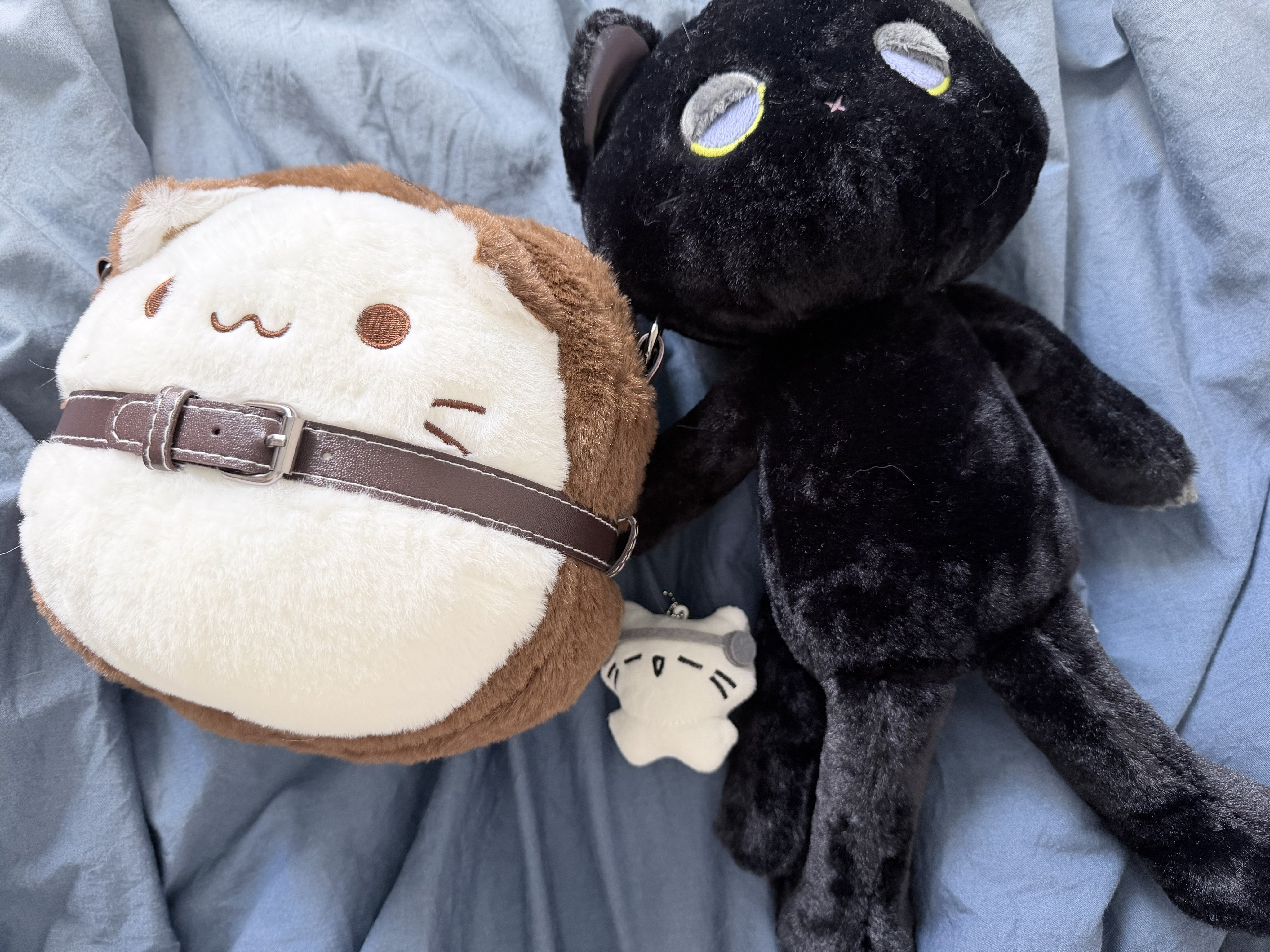 Archived media from tweet captured on 2026-03-13 08:59:28 UTC