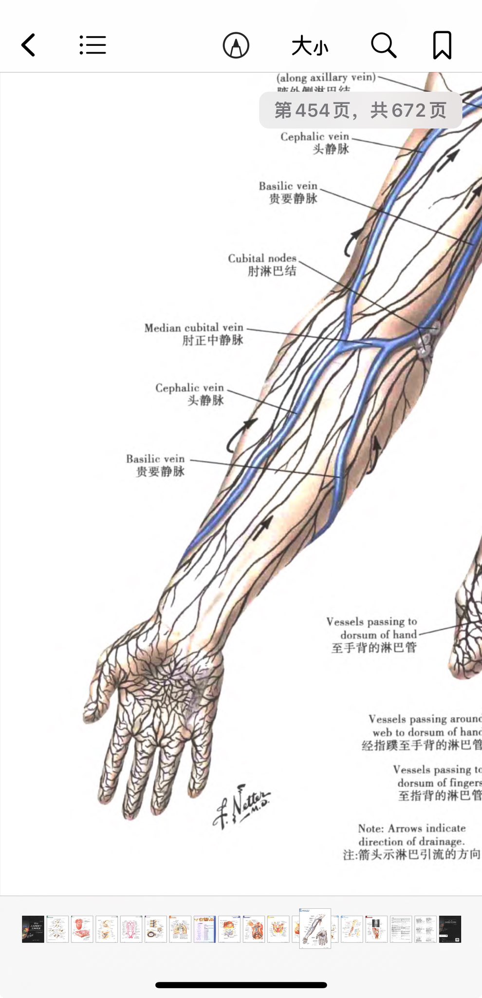 Archived media from tweet captured on 2024-07-18 16:24:29 UTC