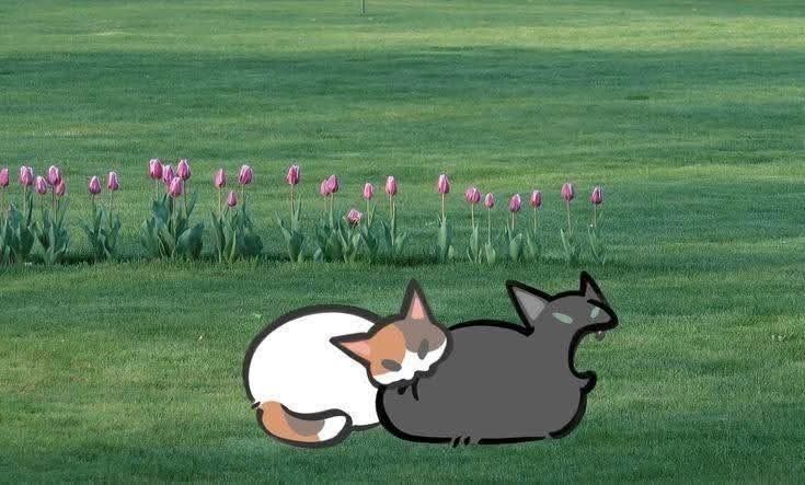 Archived media from tweet captured on 2025-07-31 04:03:15 UTC