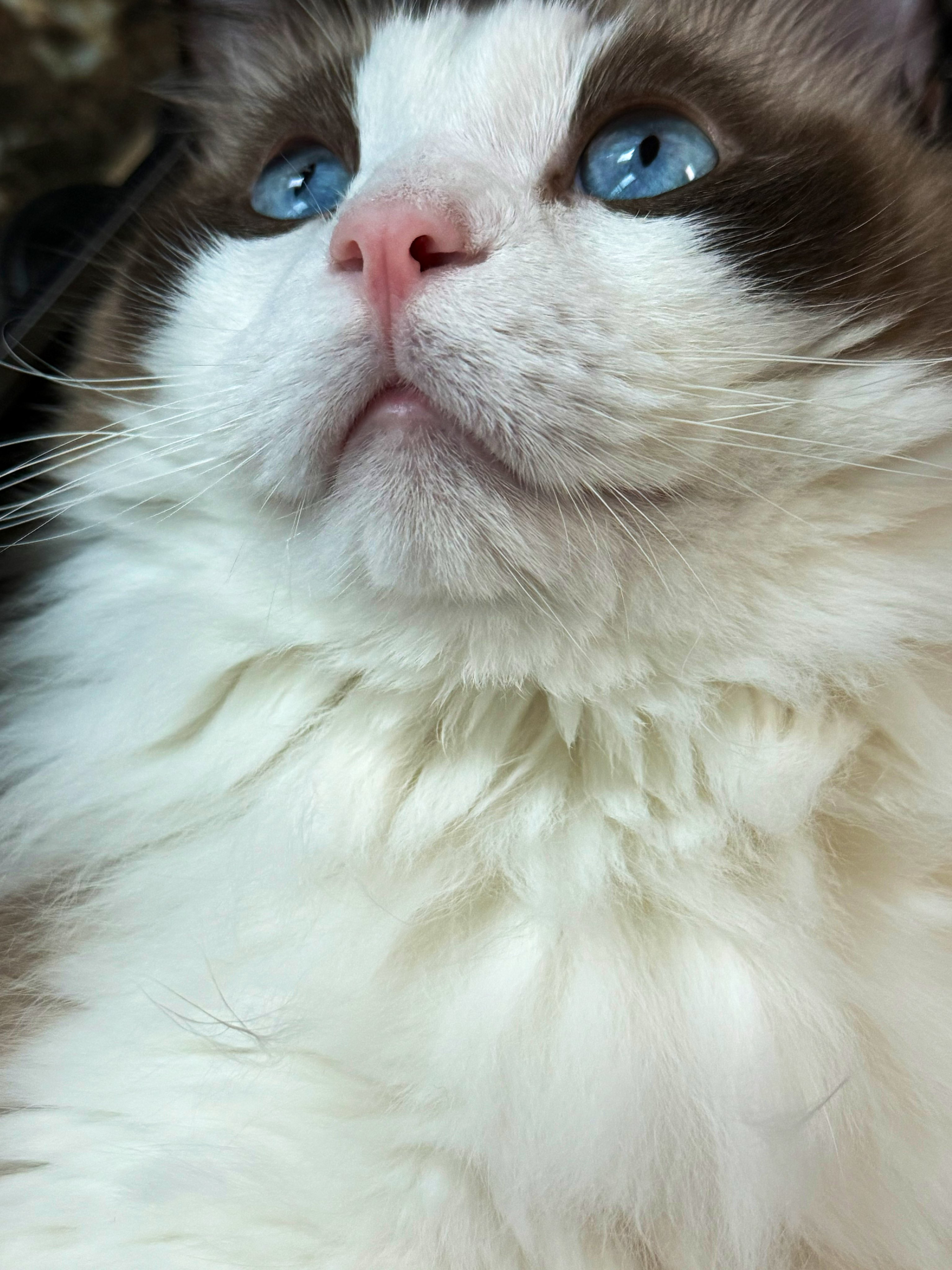 Archived media from tweet captured on 2024-09-21 07:37:30 UTC