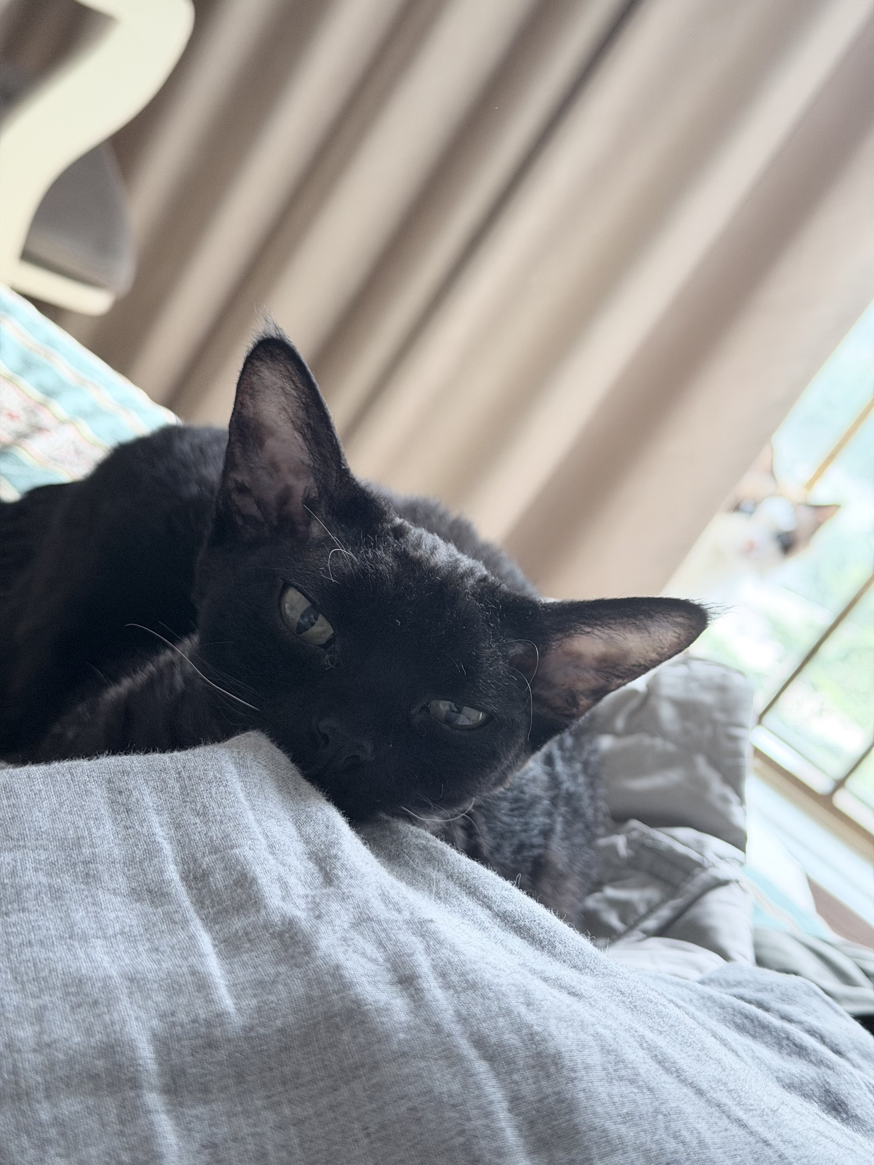 Archived media from tweet captured on 2025-11-24 07:03:26 UTC