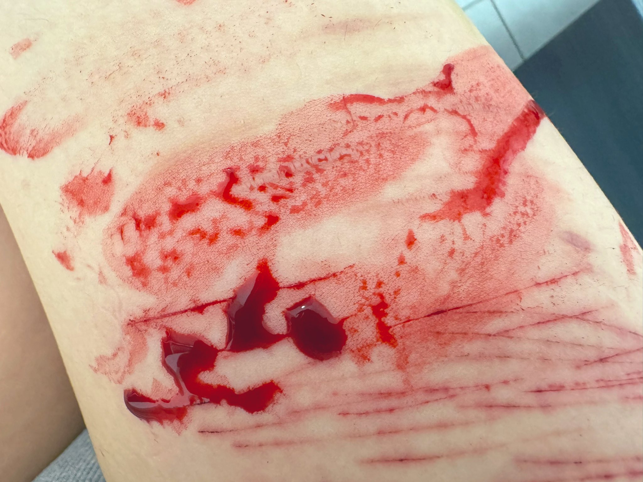 Archived media from tweet captured on 2024-07-22 18:26:18 UTC