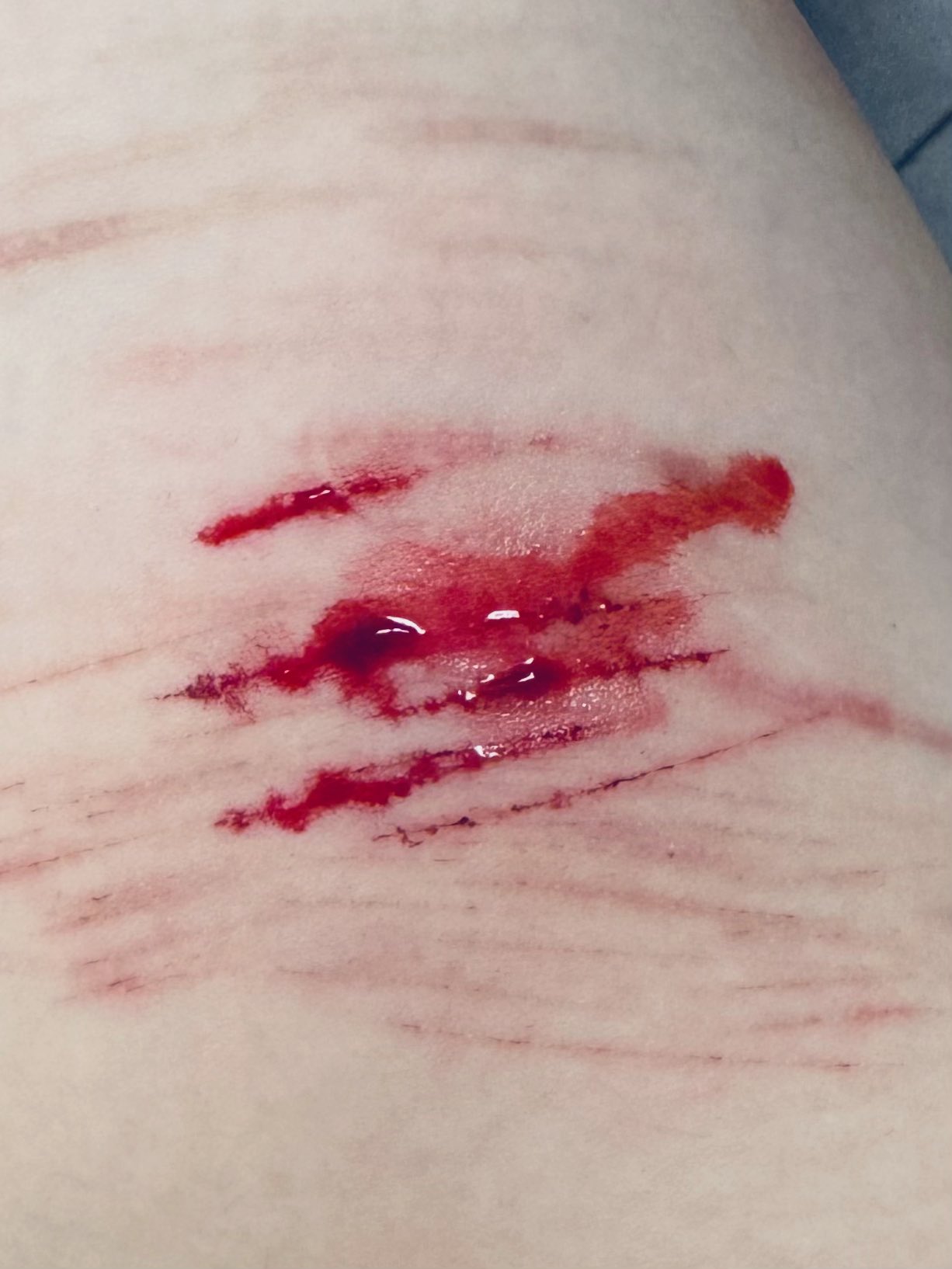 Archived media from tweet captured on 2024-08-22 16:55:36 UTC