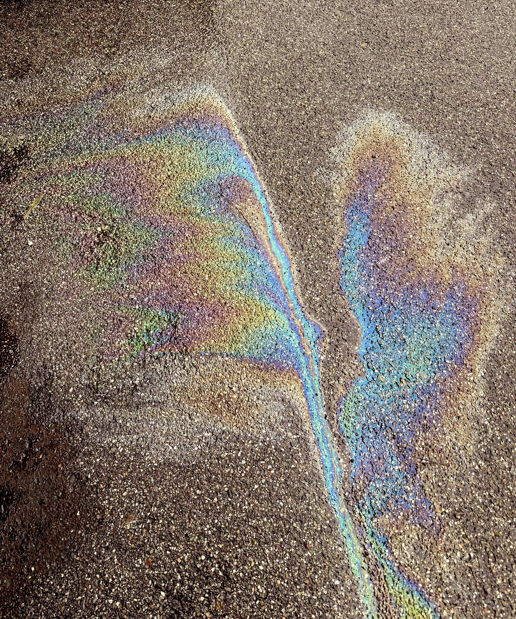 Archived media from tweet captured on 2024-07-06 13:00:41 UTC