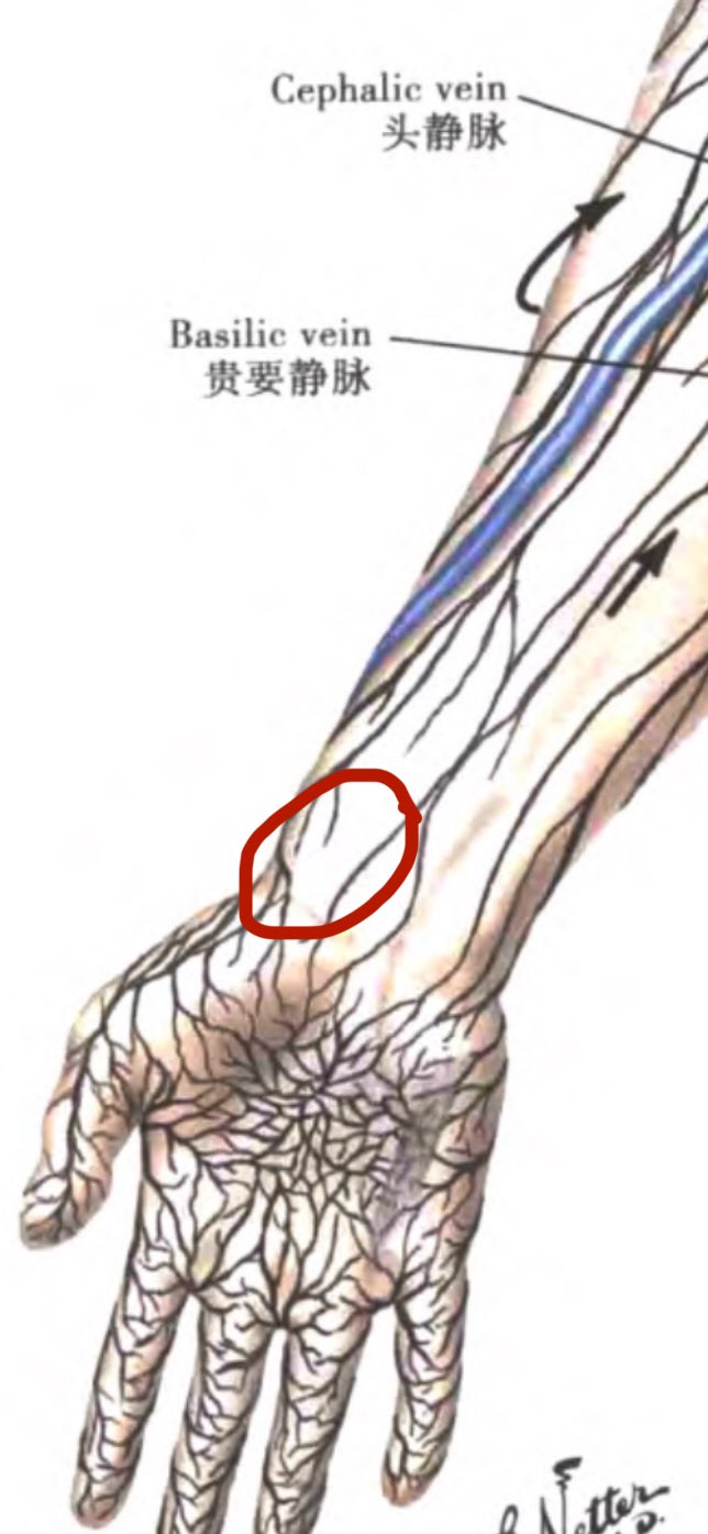 Archived media from tweet captured on 2024-07-20 18:41:49 UTC