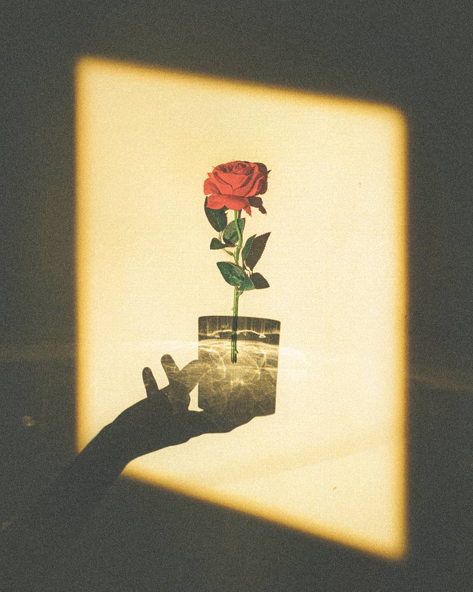 Archived media from tweet captured on 2025-05-06 10:54:58 UTC