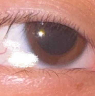 Archived media from tweet captured on 2024-08-01 11:02:28 UTC