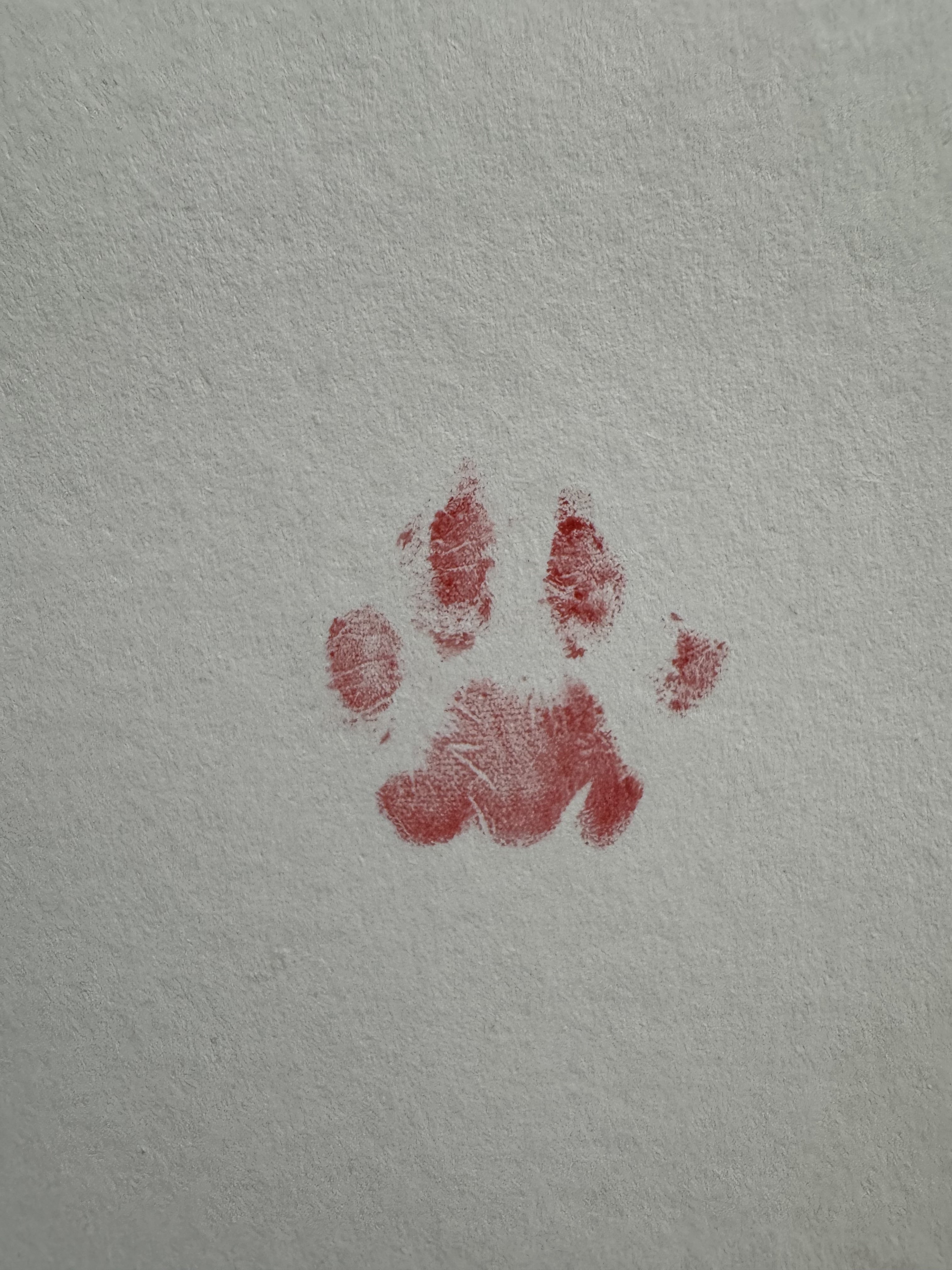 Archived media from tweet captured on 2025-02-07 08:50:10 UTC