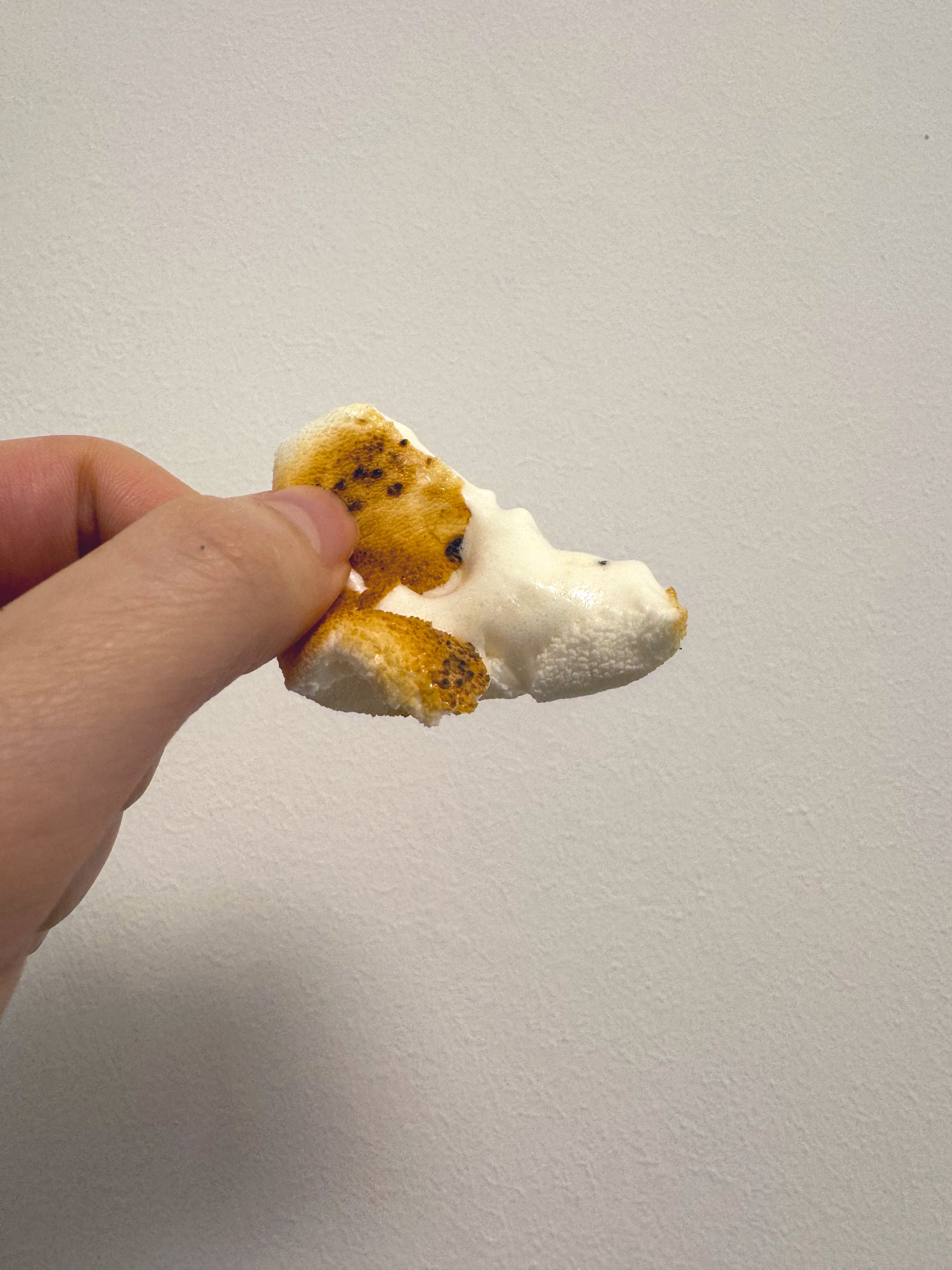 Archived media from tweet captured on 2024-08-18 10:08:03 UTC