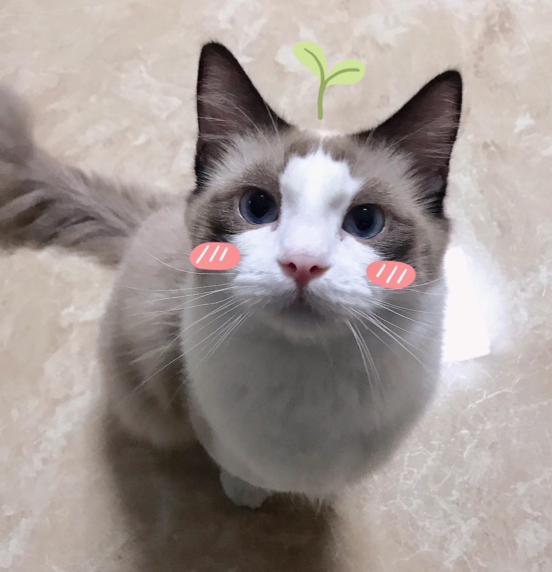 Archived media from tweet captured on 2024-08-29 21:54:03 UTC