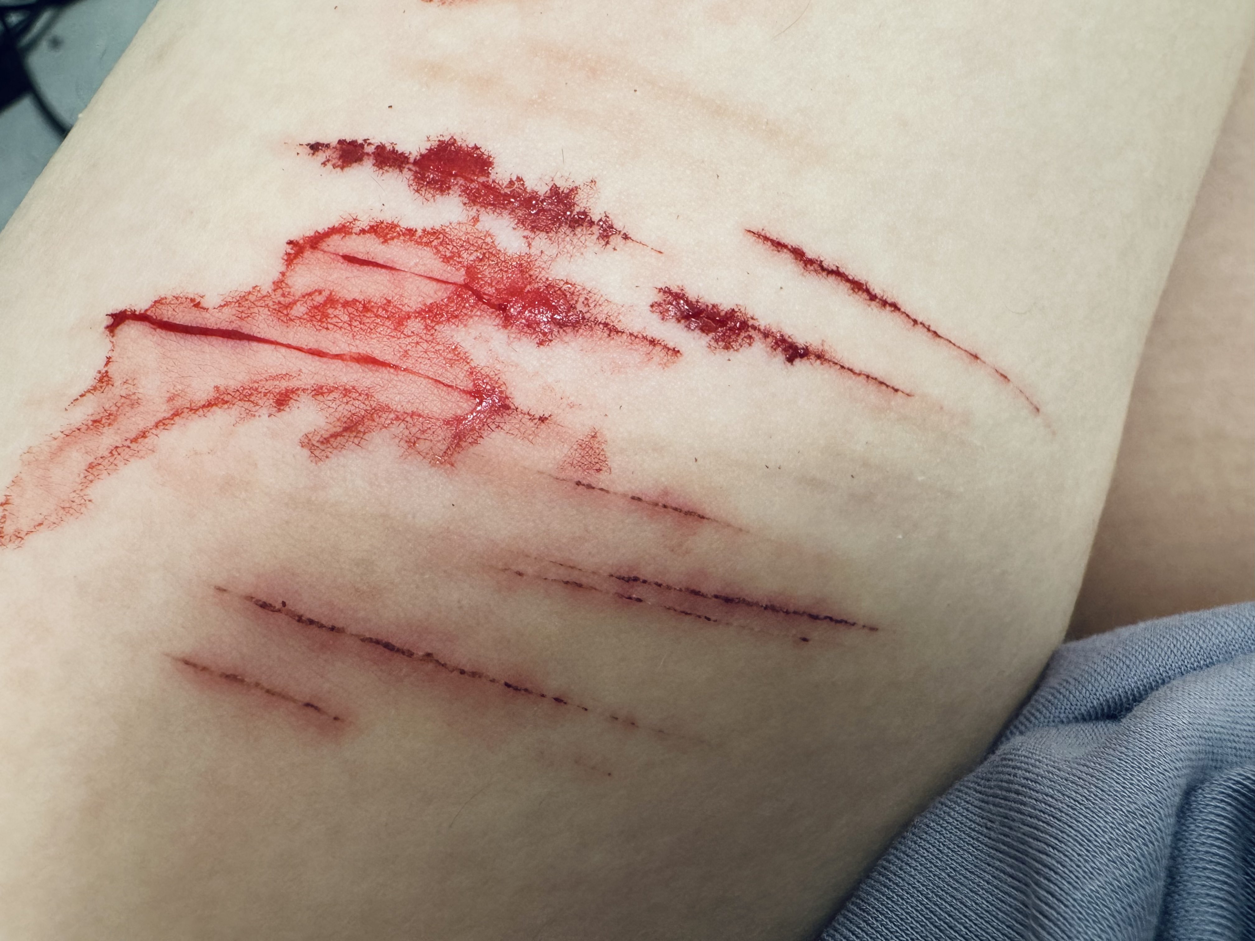 Archived media from tweet captured on 2024-08-24 22:11:11 UTC