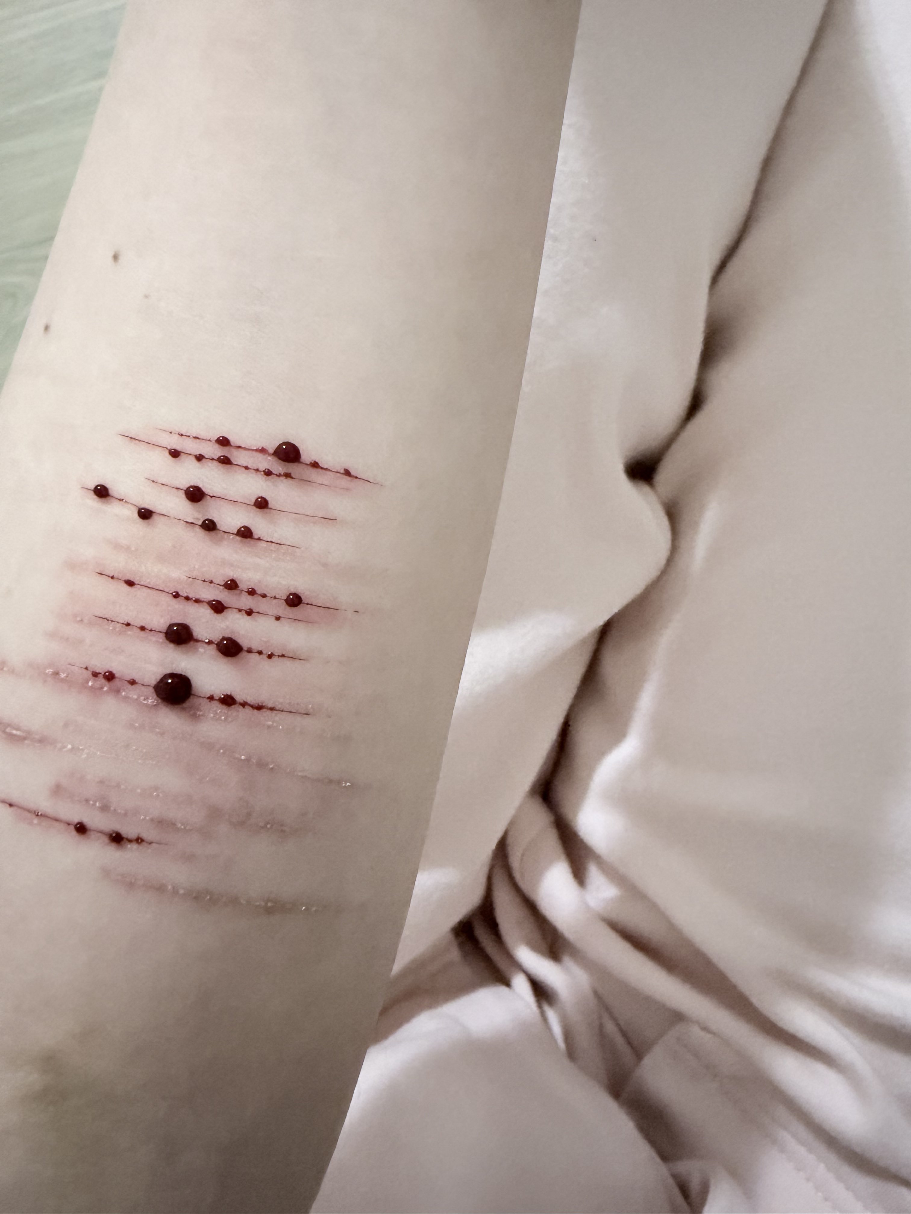 Archived media from tweet captured on 2025-11-11 18:28:10 UTC