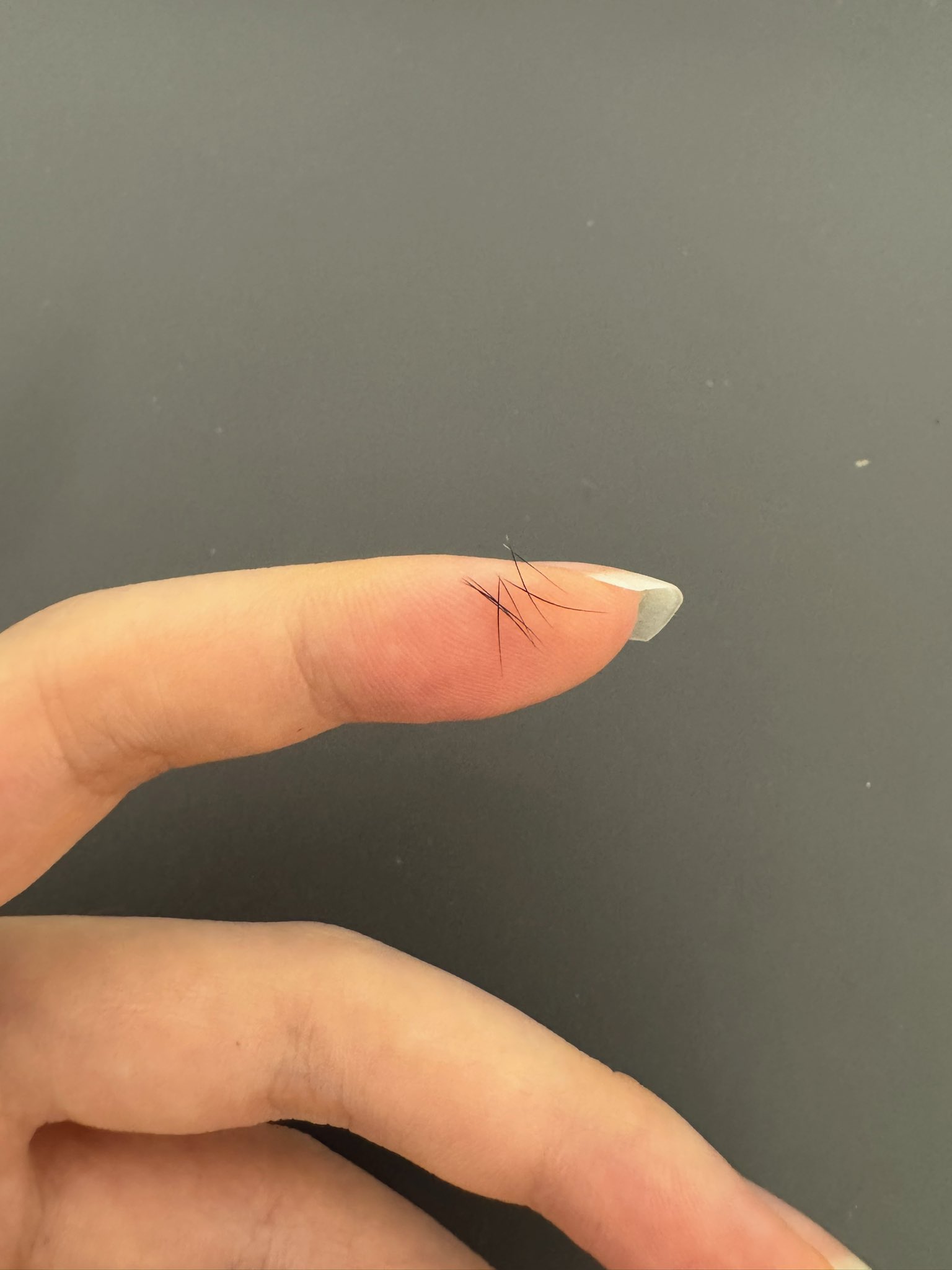 Archived media from tweet captured on 2024-07-11 11:39:35 UTC