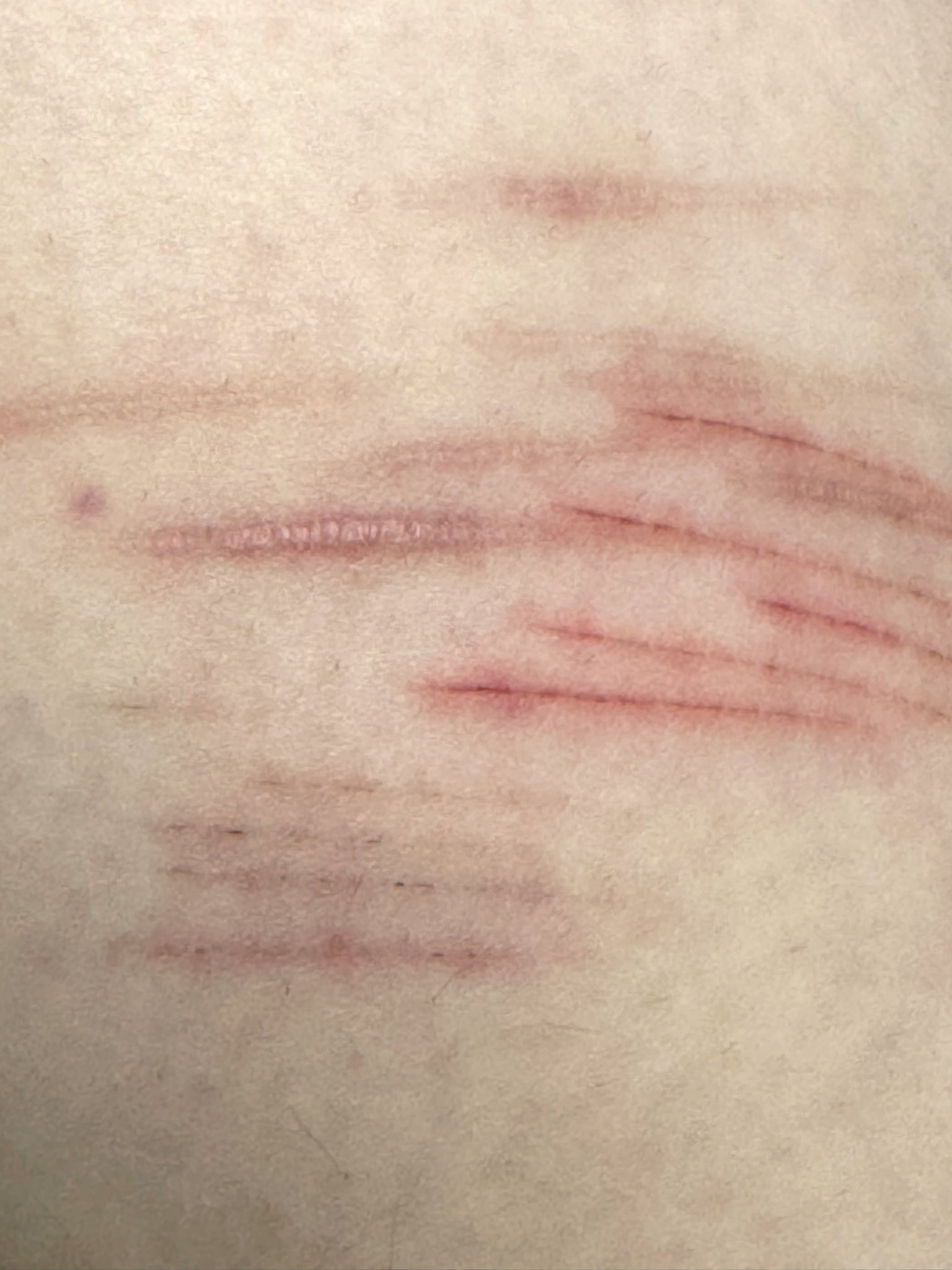 Archived media from tweet captured on 2024-07-11 10:08:57 UTC