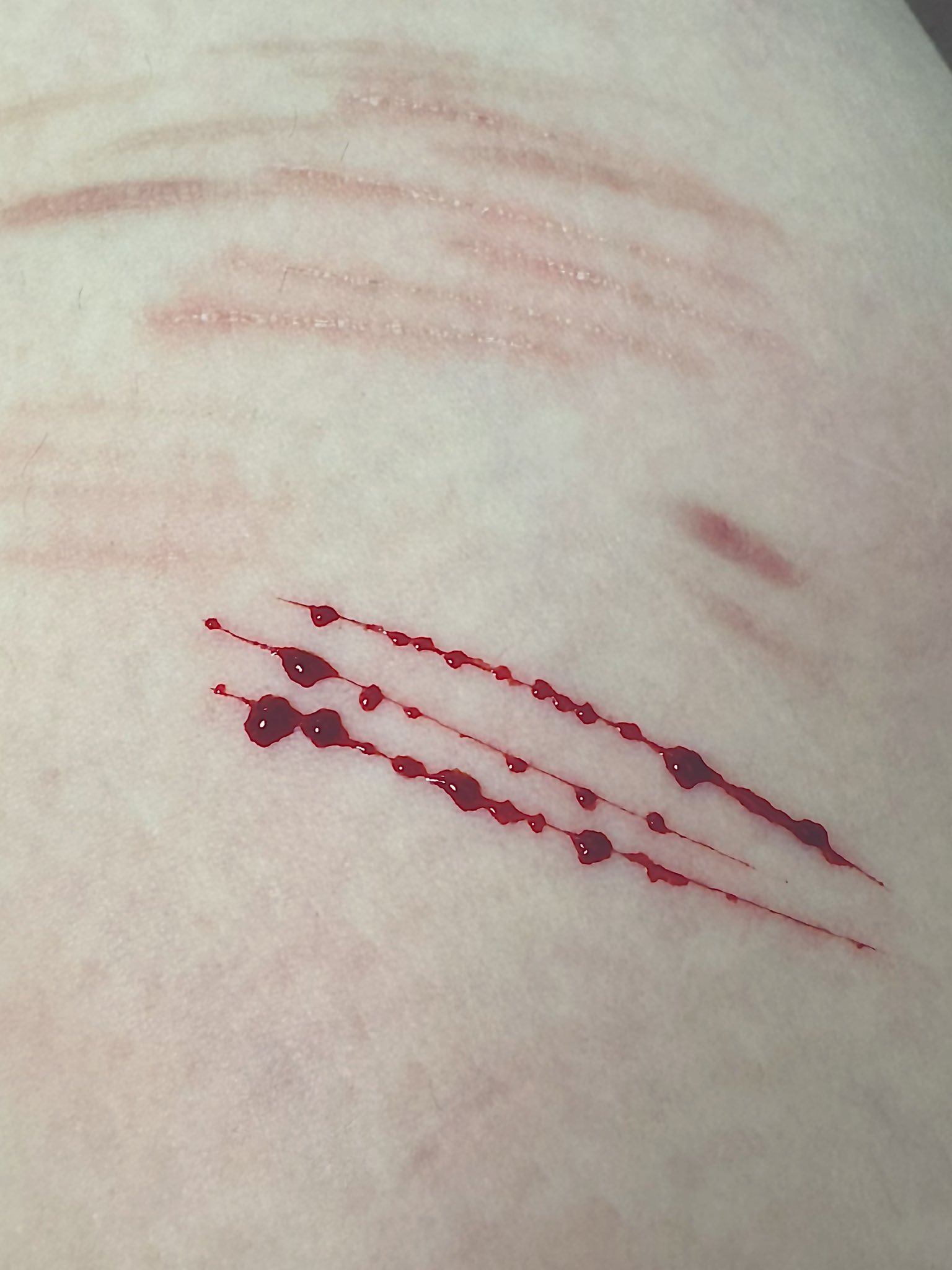 Archived media from tweet captured on 2024-07-16 23:15:08 UTC