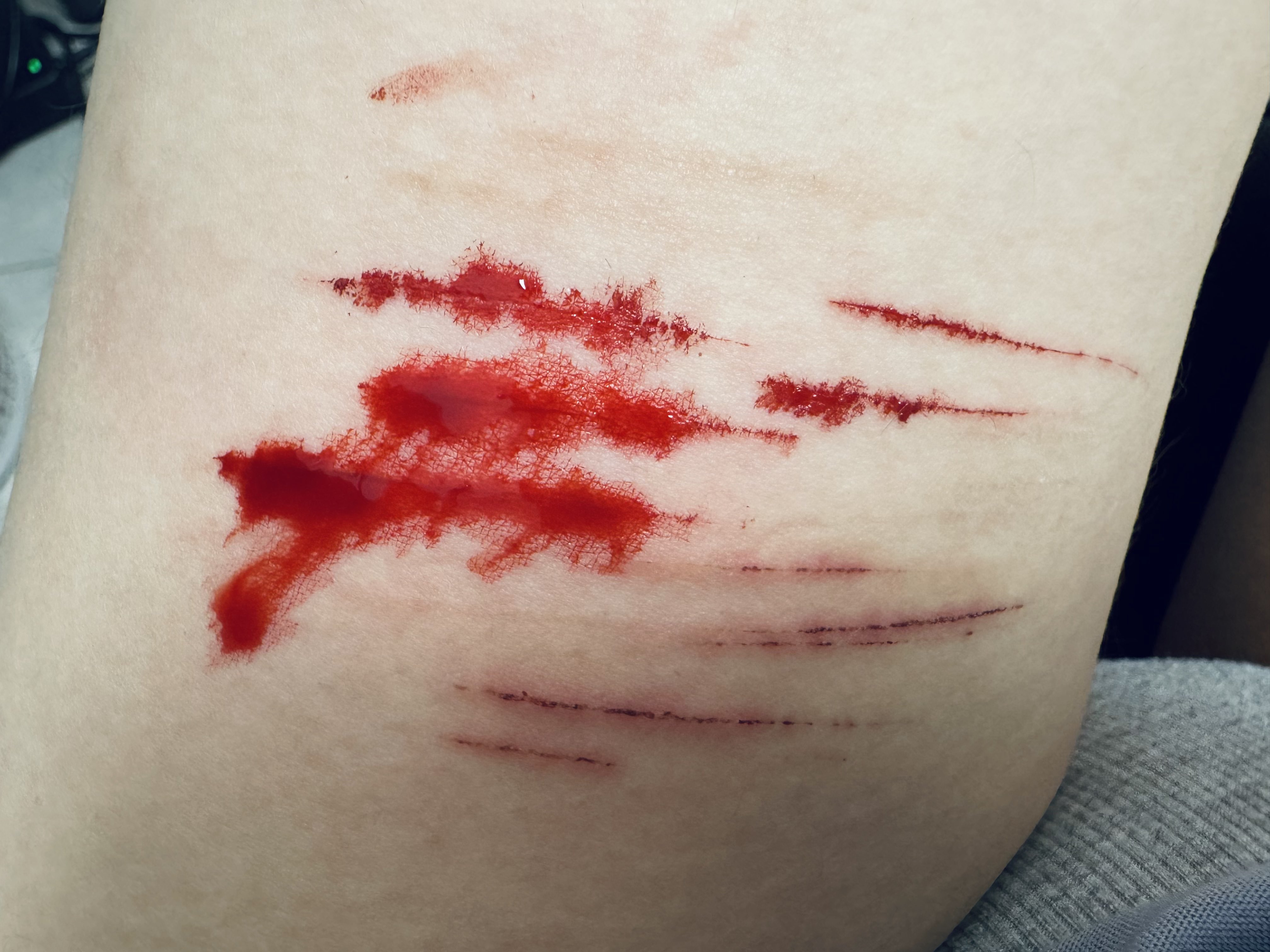 Archived media from tweet captured on 2024-08-24 22:11:11 UTC