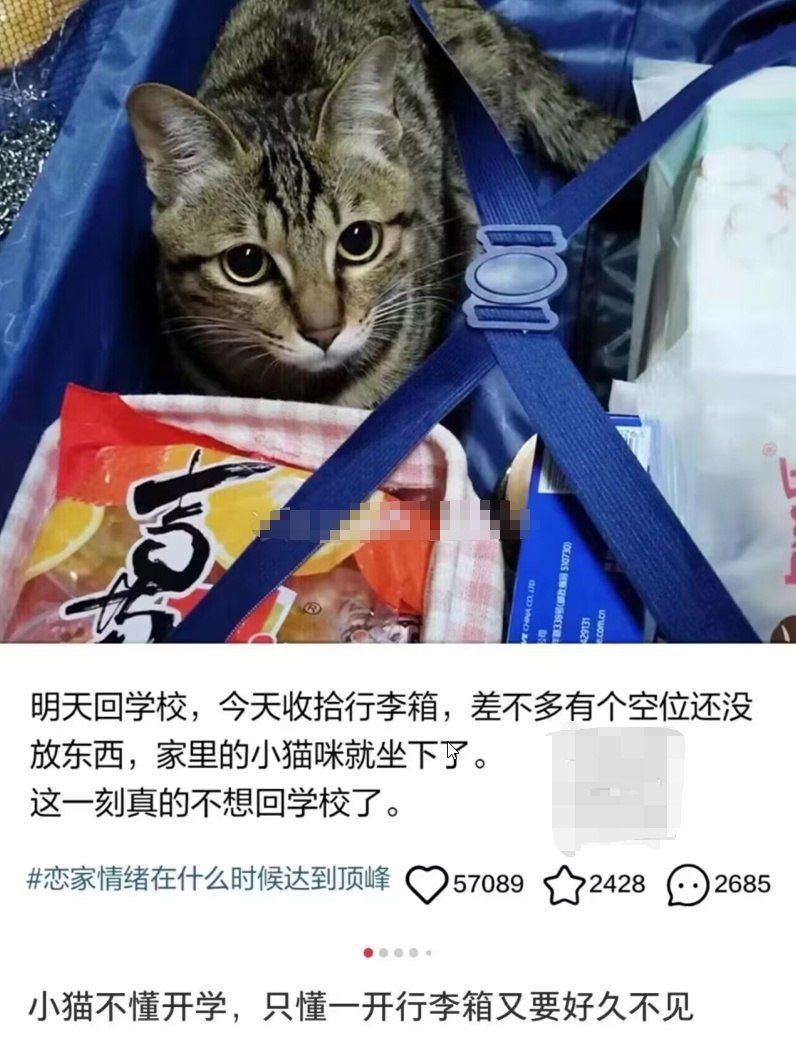 Archived media from tweet captured on 2025-05-10 19:19:01 UTC