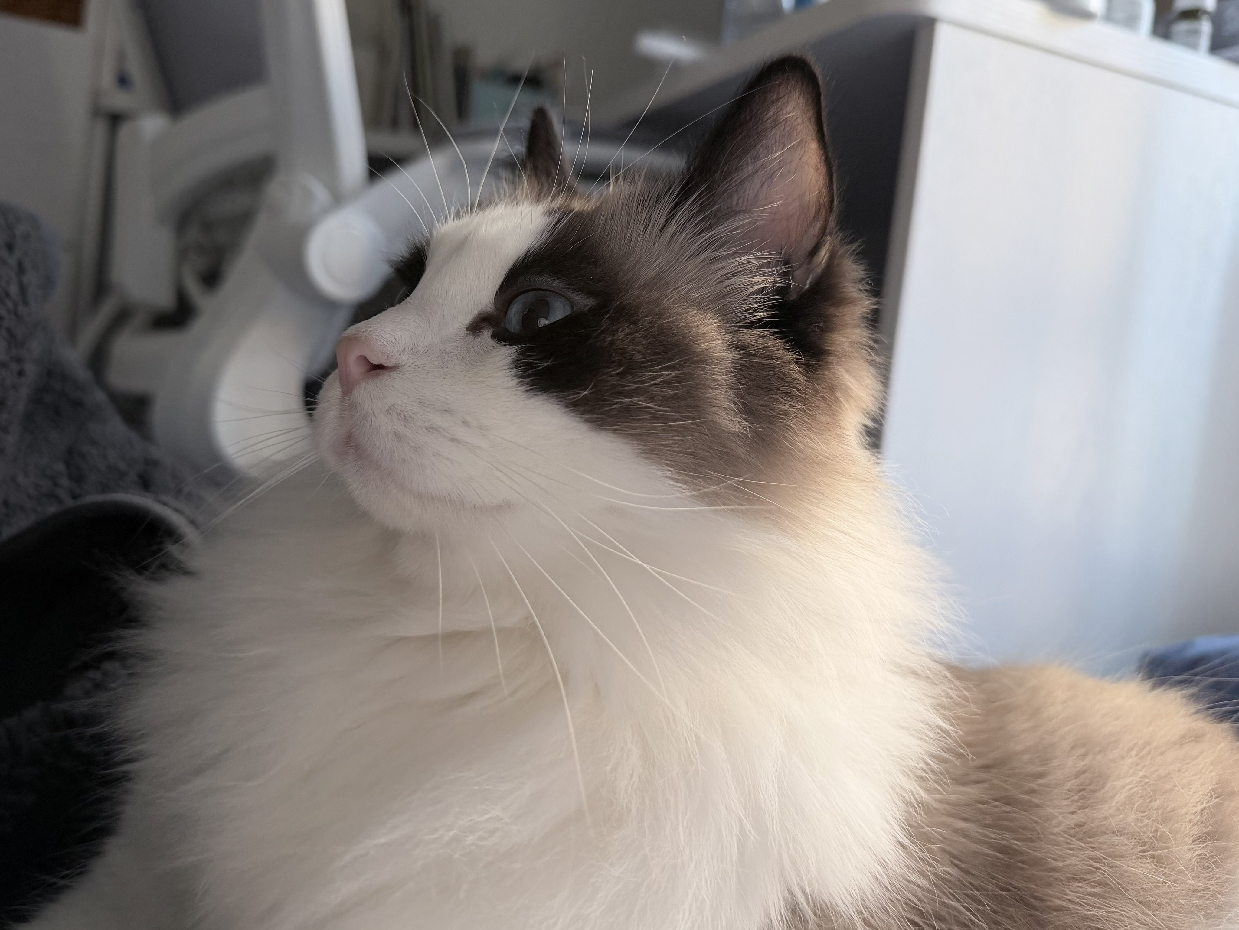 Archived media from tweet captured on 2026-01-04 08:09:09 UTC