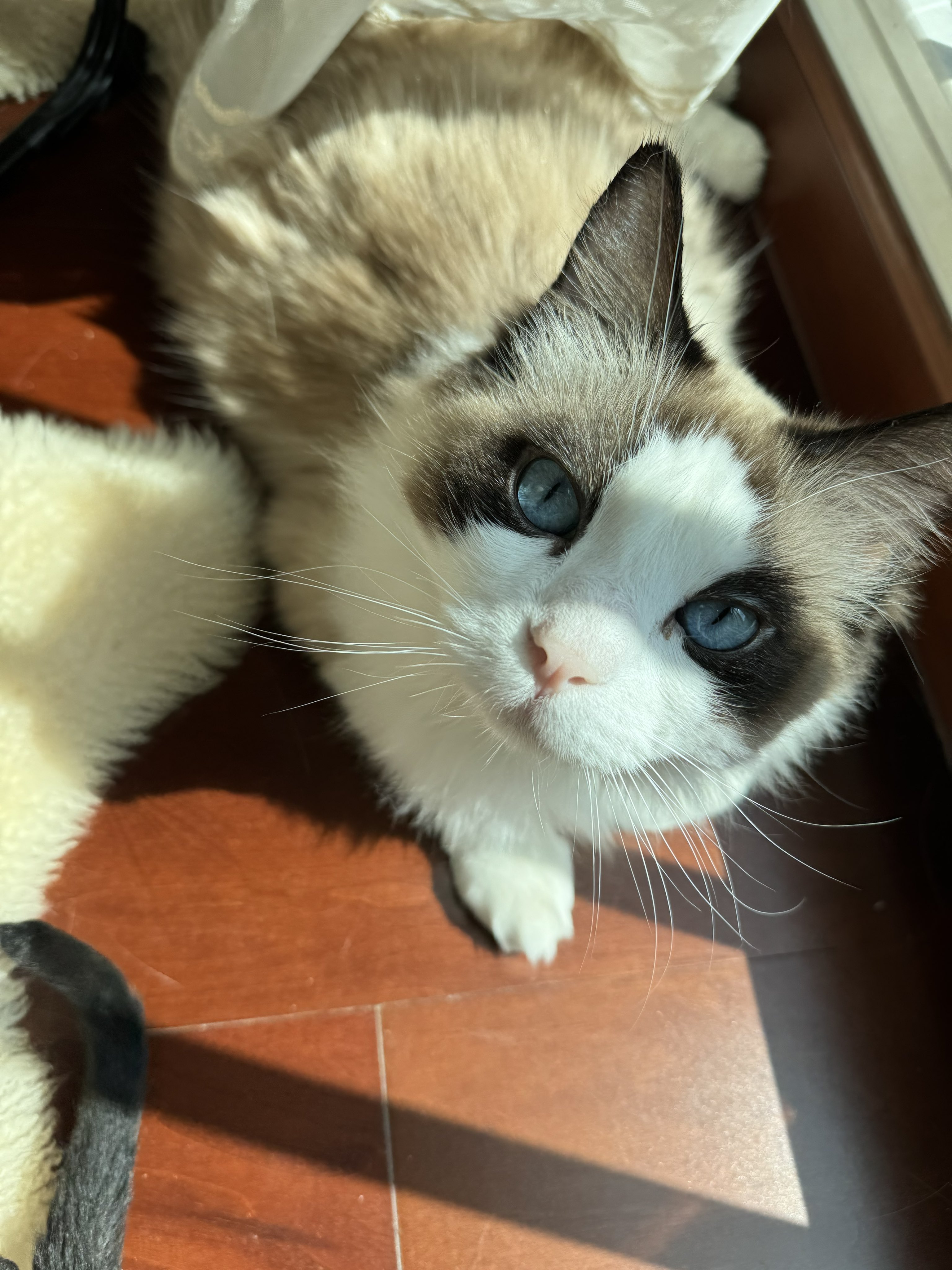 Archived media from tweet captured on 2025-03-02 02:55:40 UTC