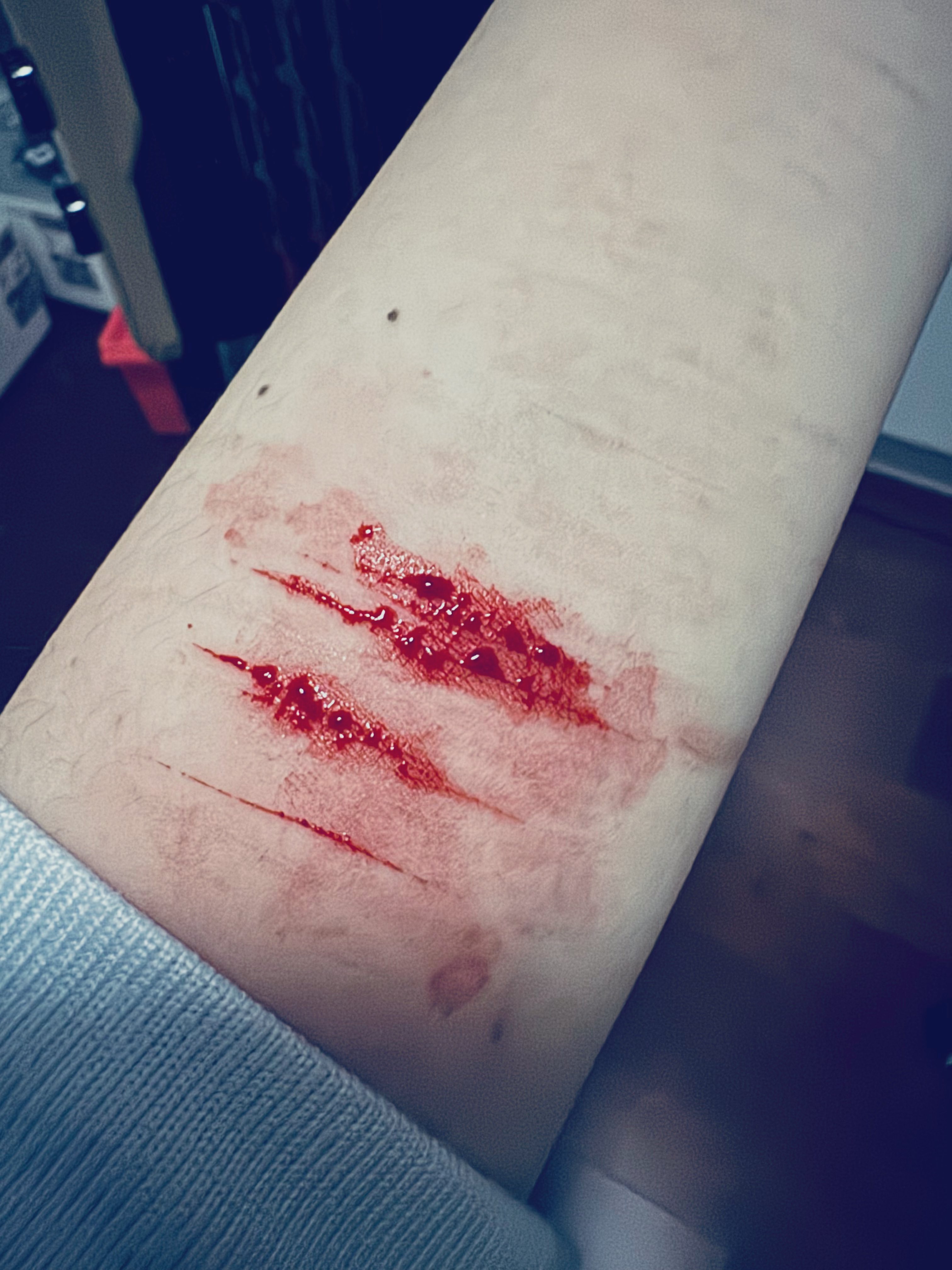 Archived media from tweet captured on 2024-12-13 18:21:10 UTC