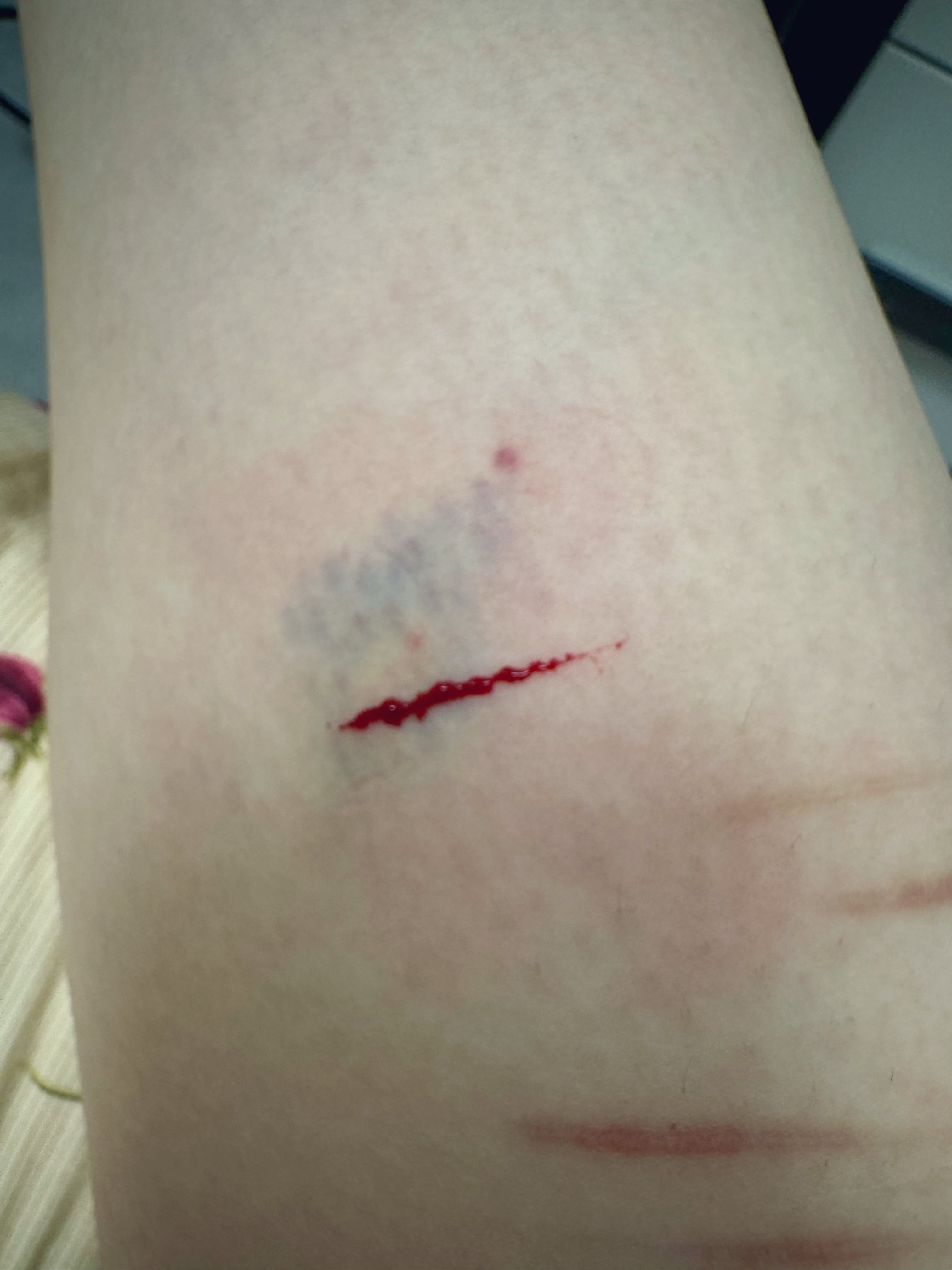 Archived media from tweet captured on 2024-08-29 22:51:30 UTC