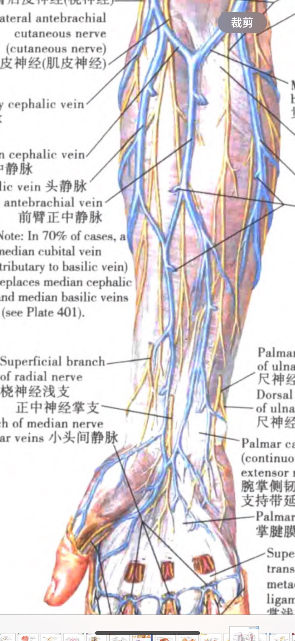 Archived media from tweet captured on 2024-07-20 18:41:49 UTC