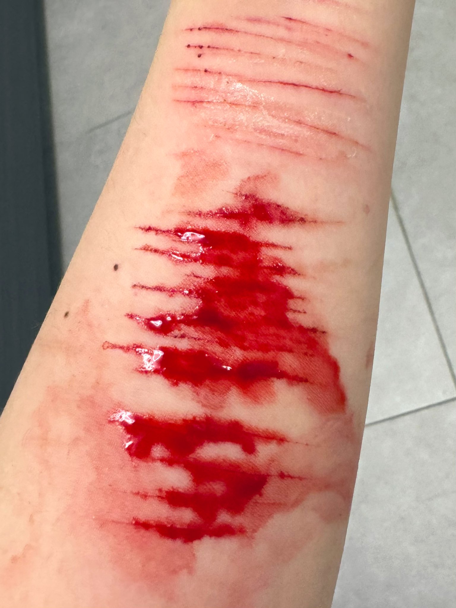 Archived media from tweet captured on 2024-07-24 00:19:59 UTC