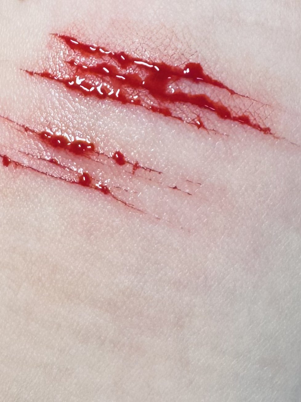 Archived media from tweet captured on 2025-02-21 18:48:18 UTC